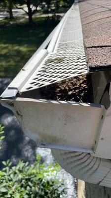 Turtle Shell gutter protection installation in Naperville, IL 60540, photograph 20