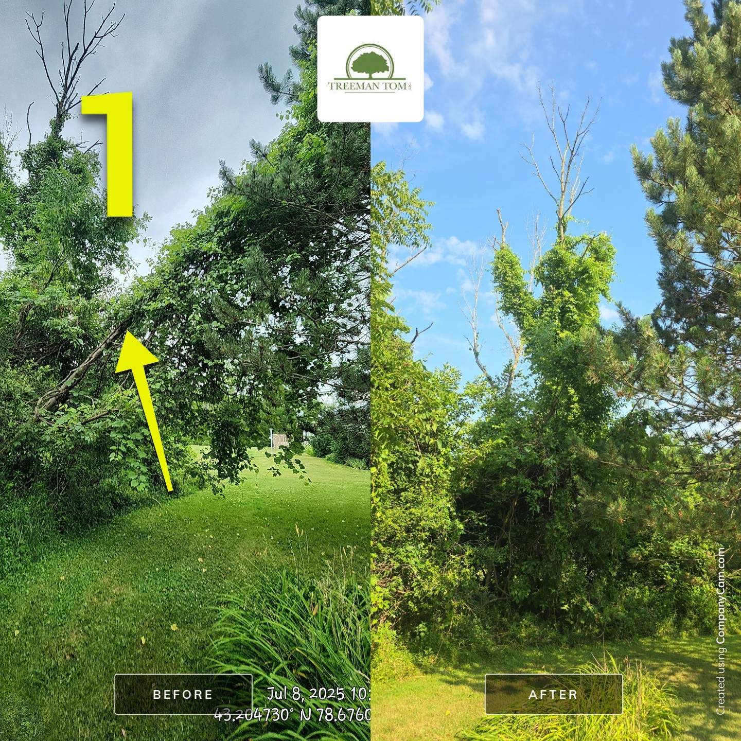 Emergency: Dead Ash by Treeman Tom LLC