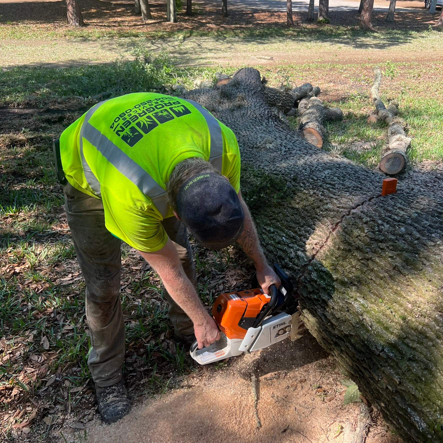 Tree Work | Autobahn Raceway by ProGreen Services