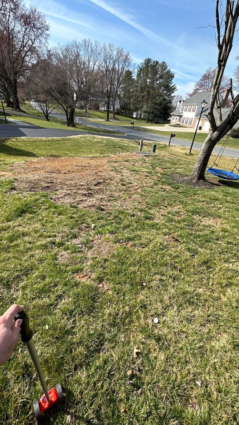Landscape Design and Cleanup  by The Smet Companies, LLC