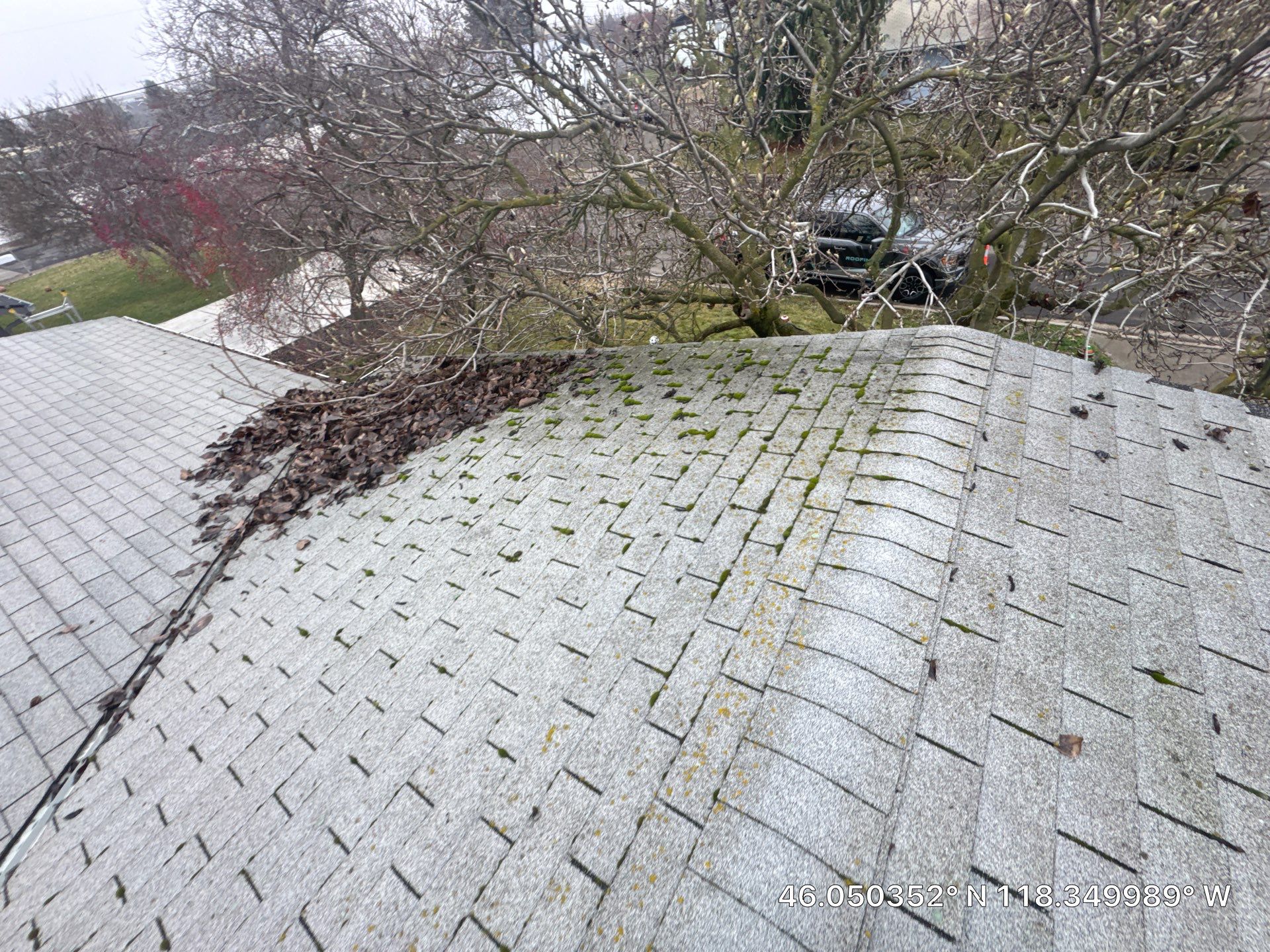 Residential Asphalt Shingle Roof Replacement in Walla Walla by Alpine Roofing