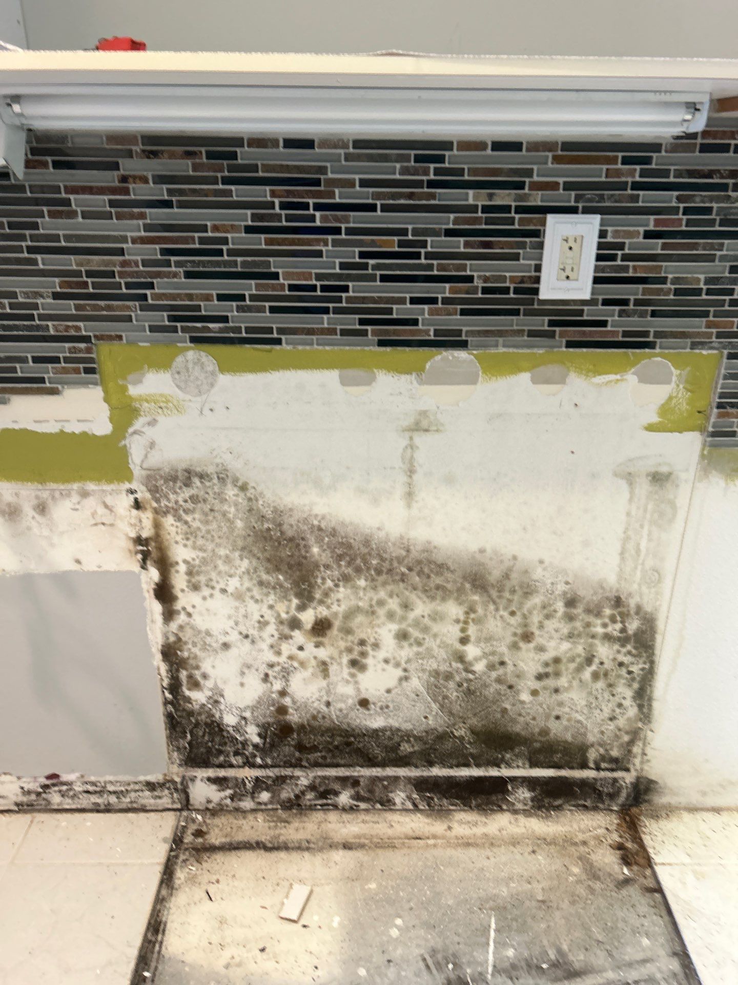 Mold Remediation by Ampm Restoration Services