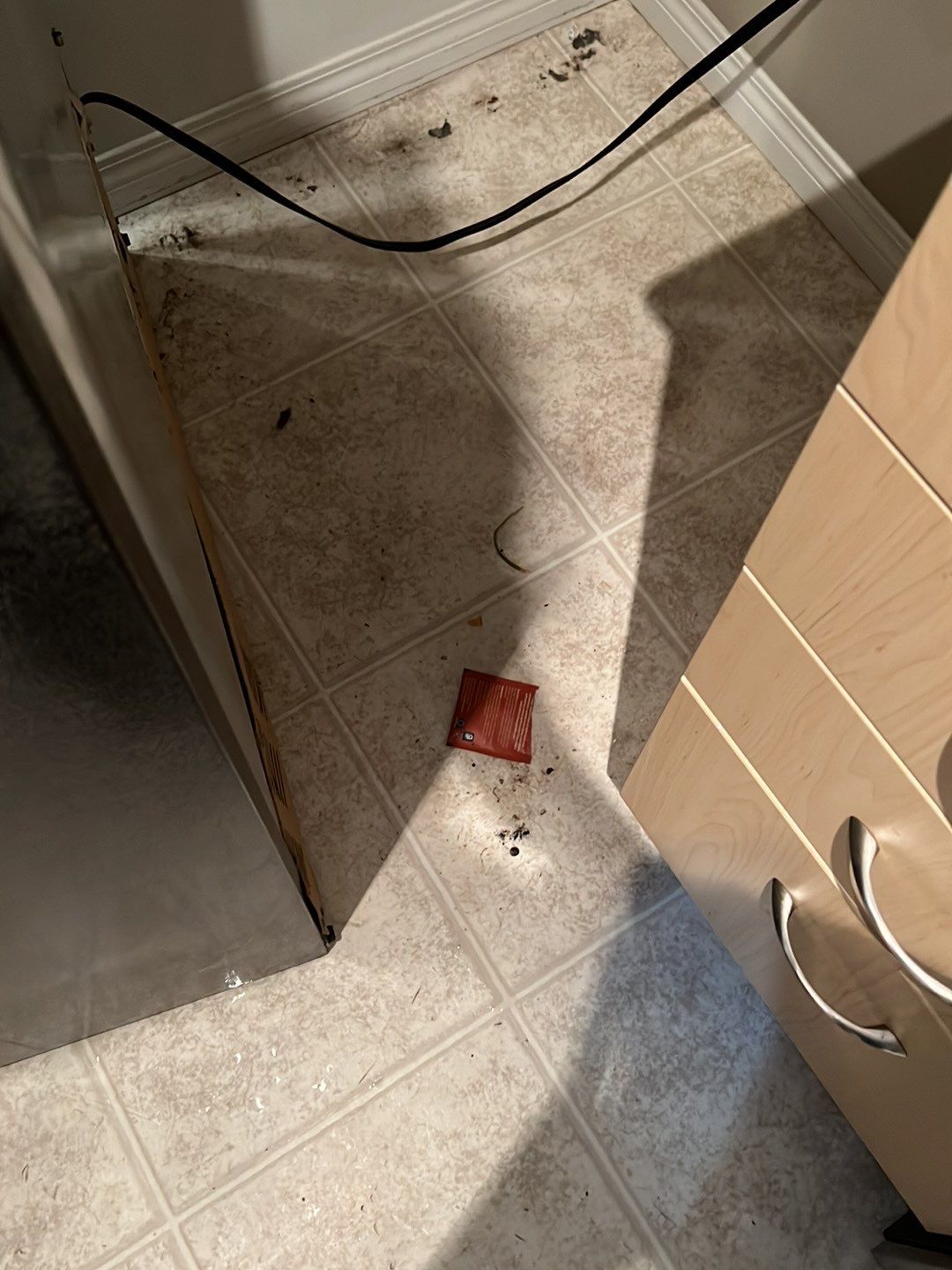 Moveout Clean - Very dirty by Tidyups Cleaning Service Inc