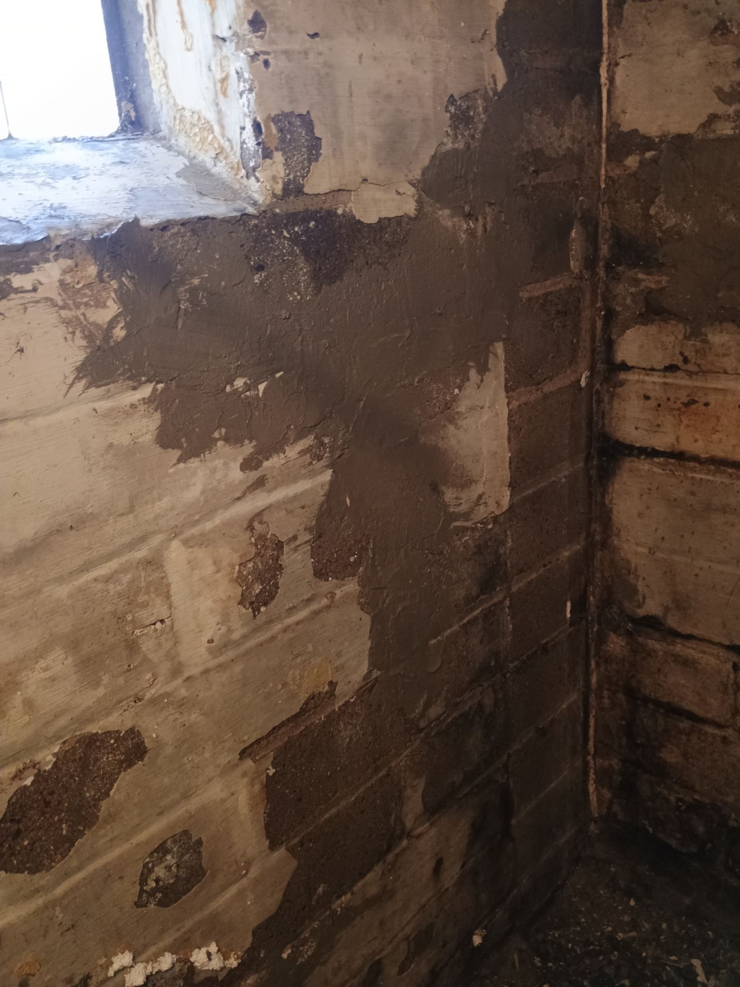 Updating Taylor's Waterproofing System by Waterproofing Northeast