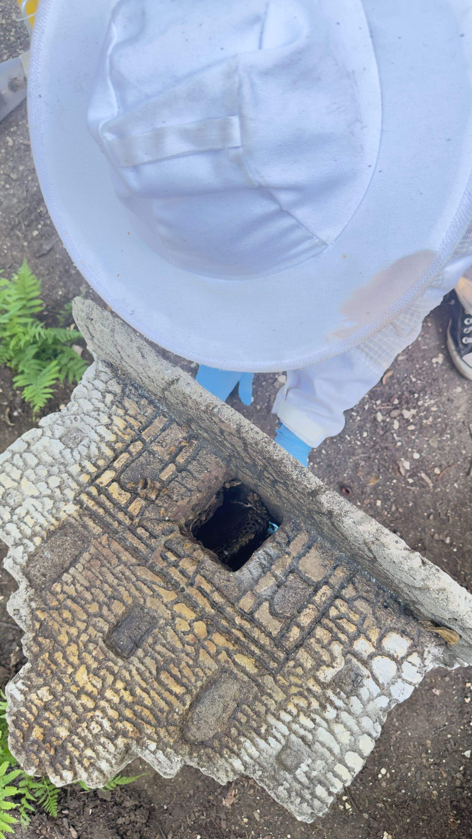 Bird Houses by Rockwall Honey Bee Company