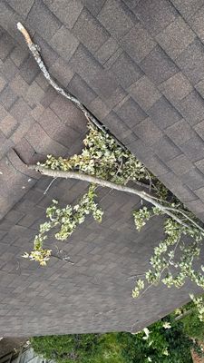 Turtle Shell gutter protection installation in Naperville, IL 60563, photograph 17