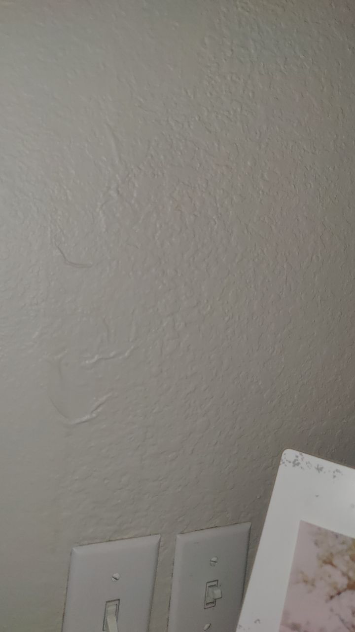 Water Damage by Accountable Home Services