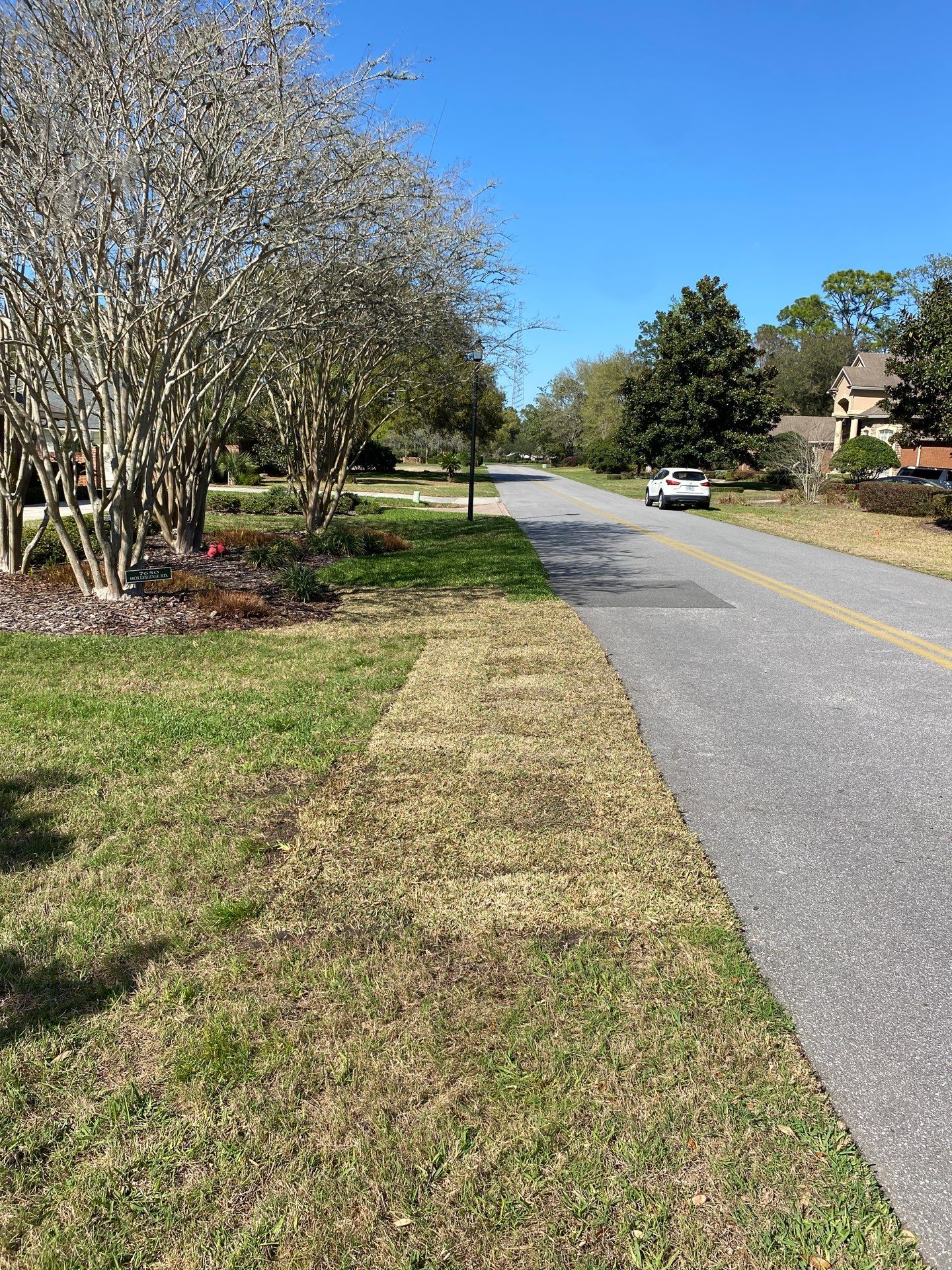 Deerwood Resident | Sod Install & Shrub Removal by ProGreen Services