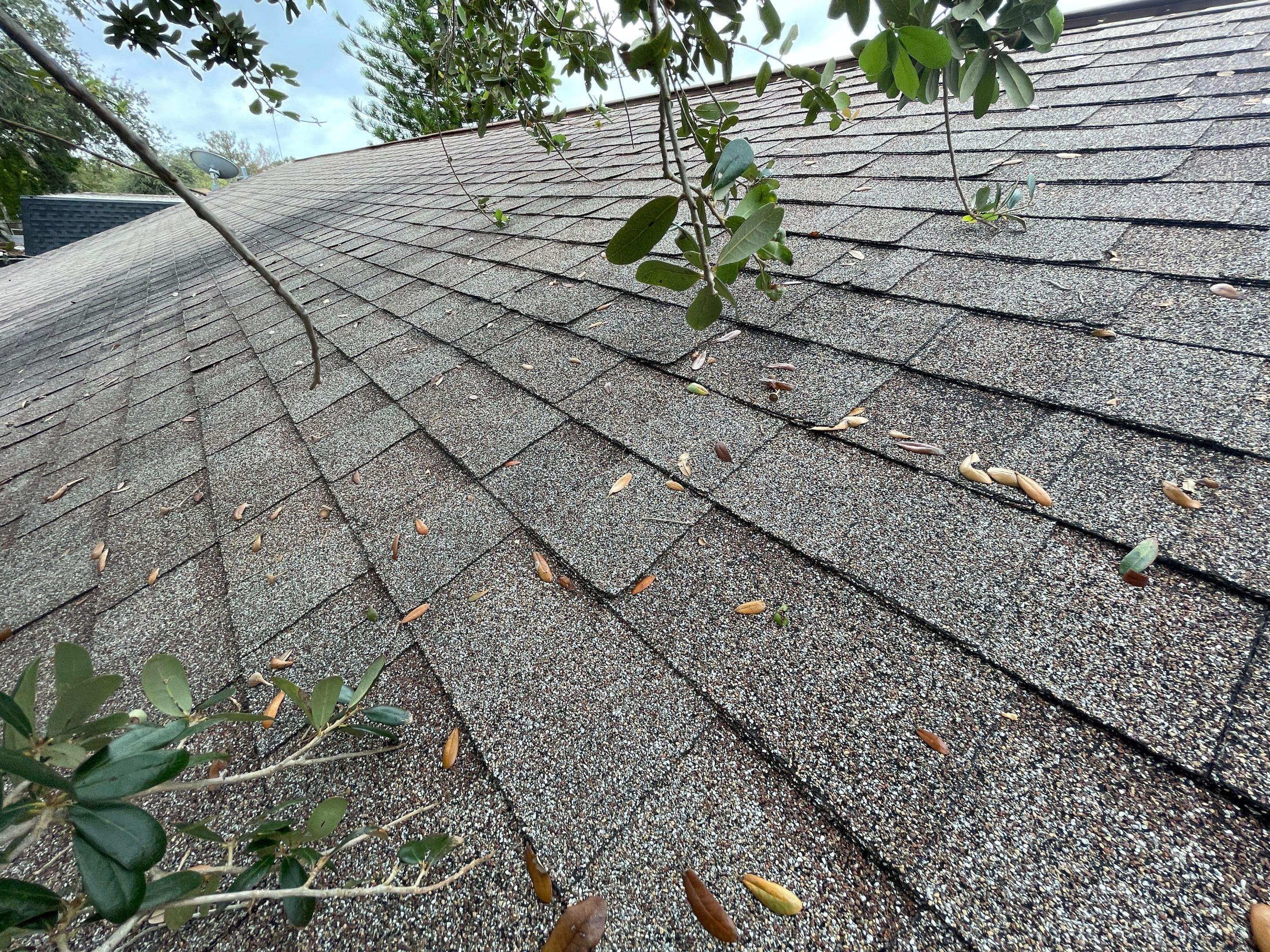 Water Damage Claim in Holiday by FLAPA & KeyStone