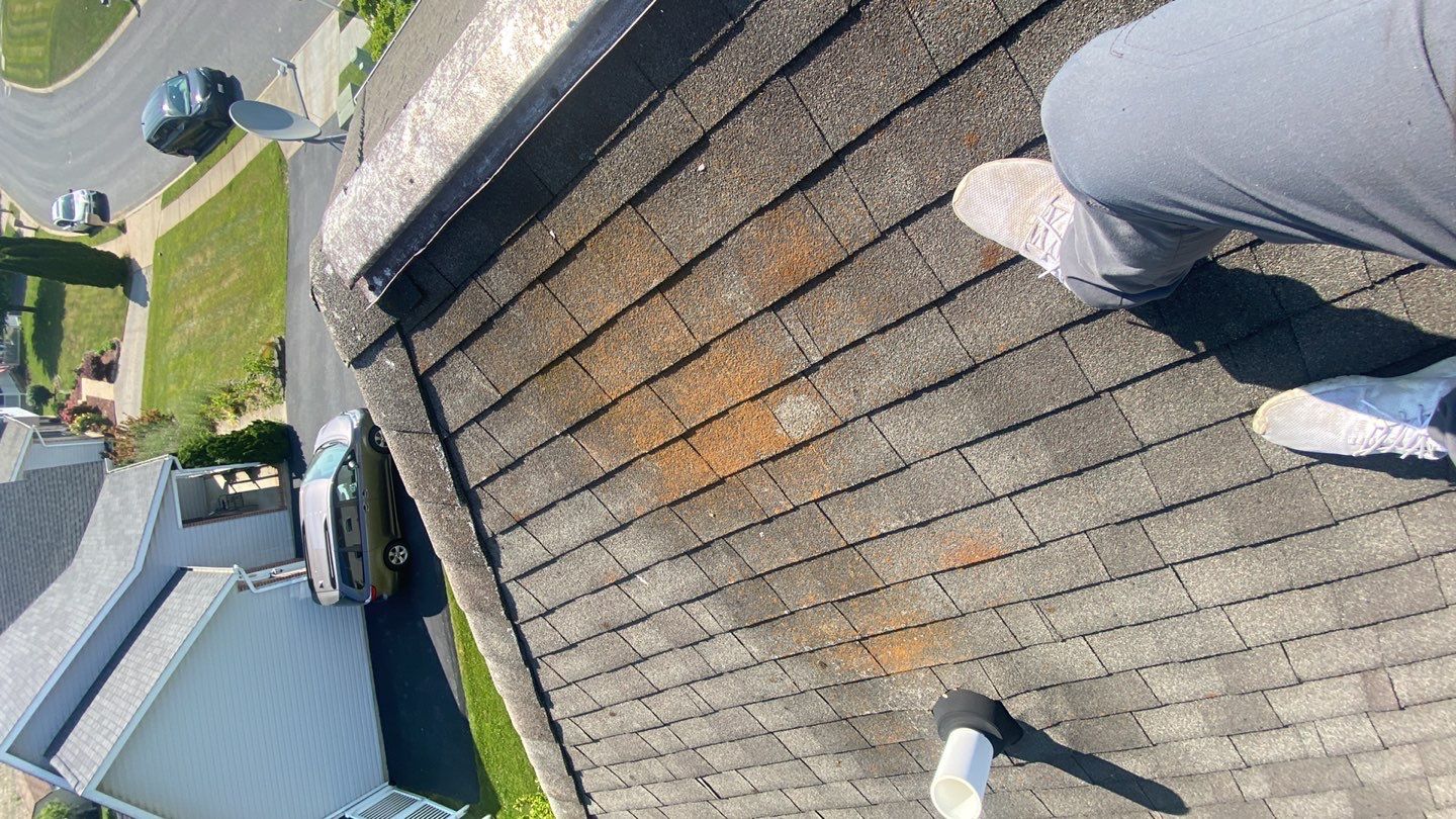 Roof Restoration in Westminster, MD • Leif J. by Seipp Roofing, LLC