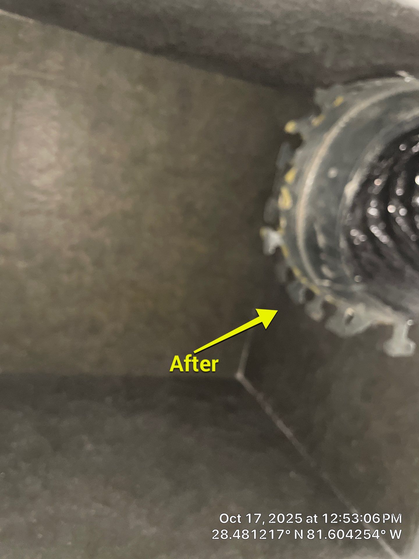 AIr Duct and Dryer Vent Cleaning in WInter Garden by Hygienic Air, Inc
