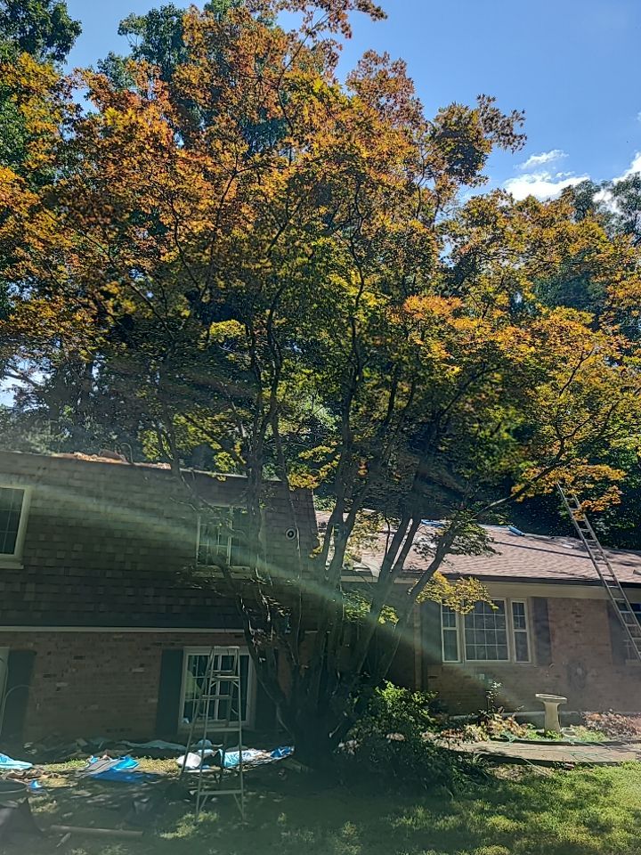 Fairfax Station: CertainTeed Landmark Pro Designer Shingles in Max Def Resawn Shake by RM Banning, Inc.