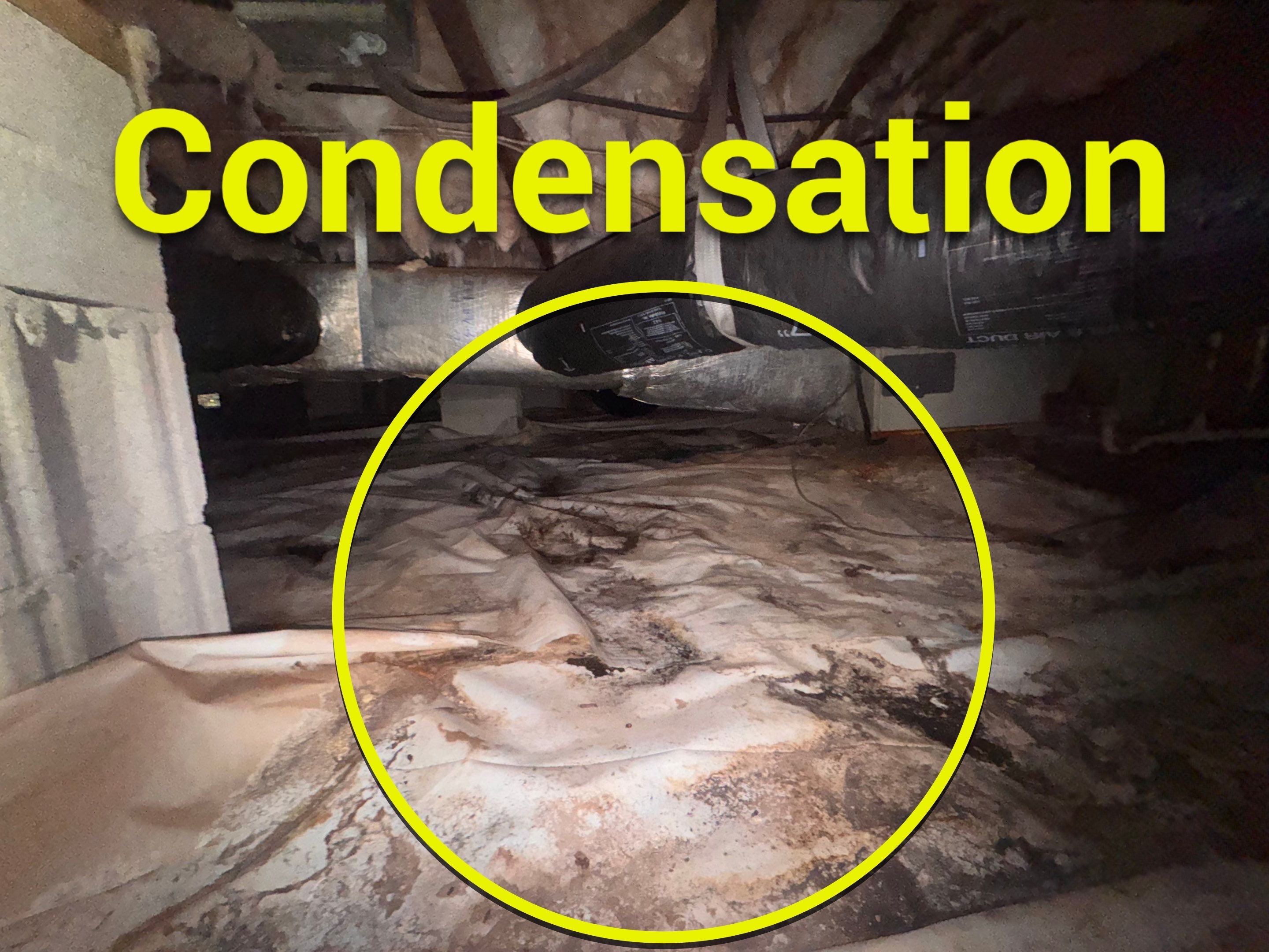 Moisture Barrier, Mold Clean, Structural Repair, Dehumidifier, R19 Insulation. by Impact Crawlspace