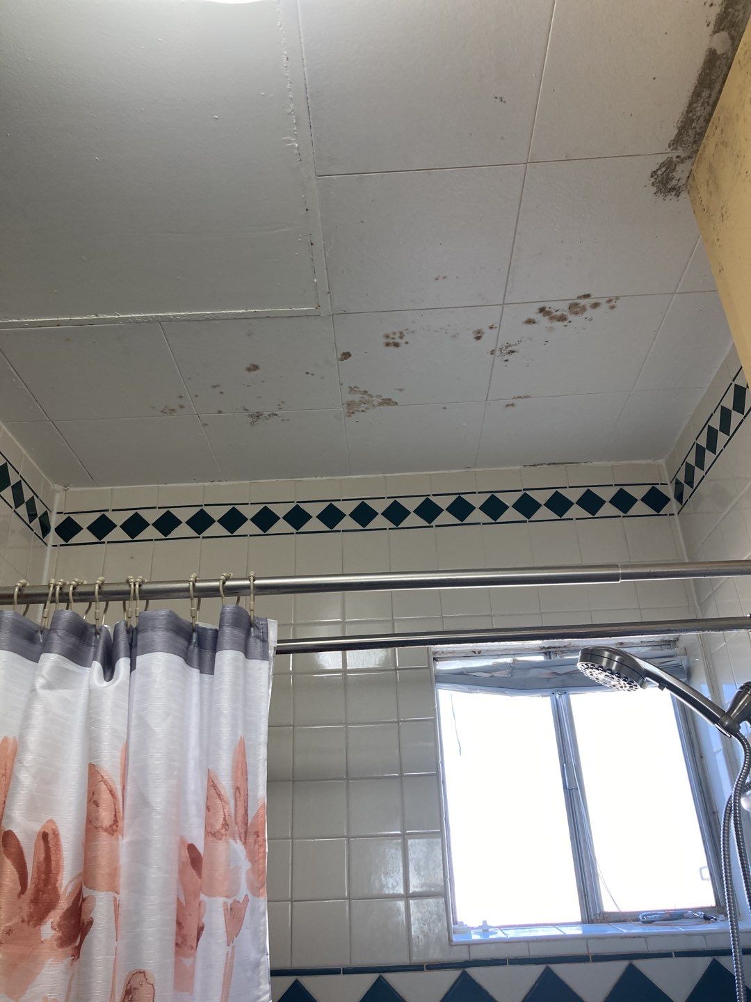 Water Damage in Bathroom by Accountable Home Services