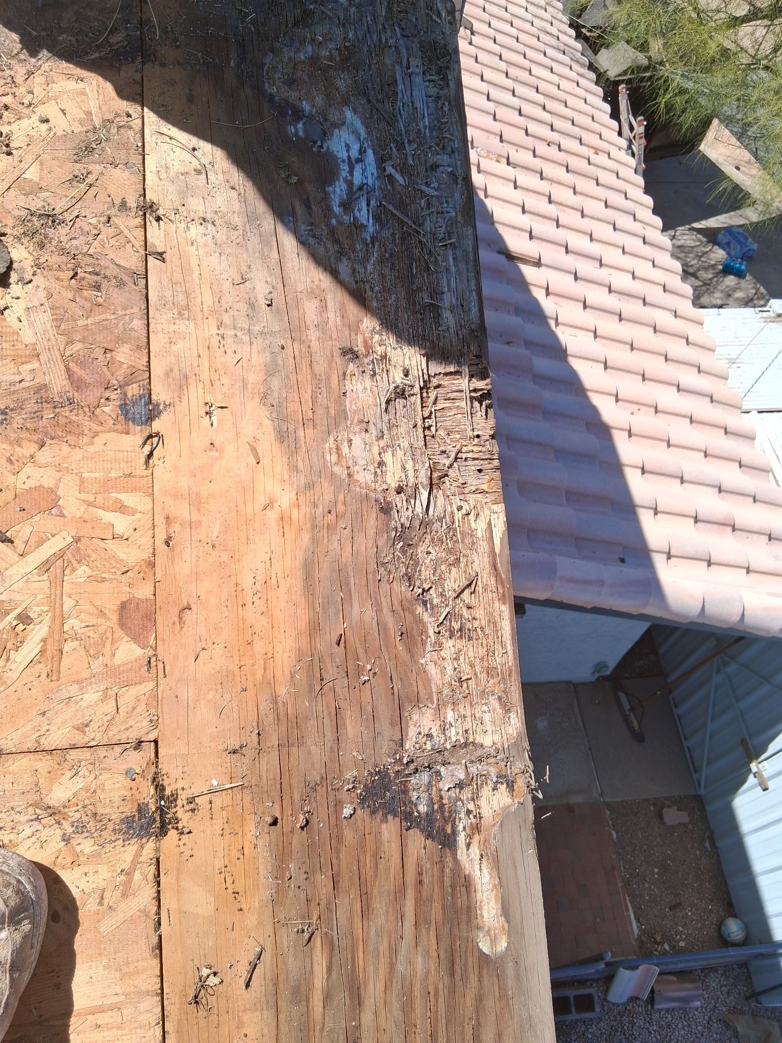 Project in Phoenix, AZ by Showtime Roofing & Coatings LLC