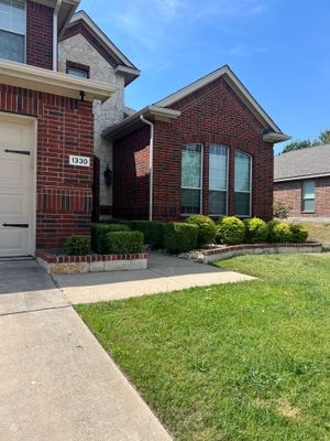 Project in Wylie