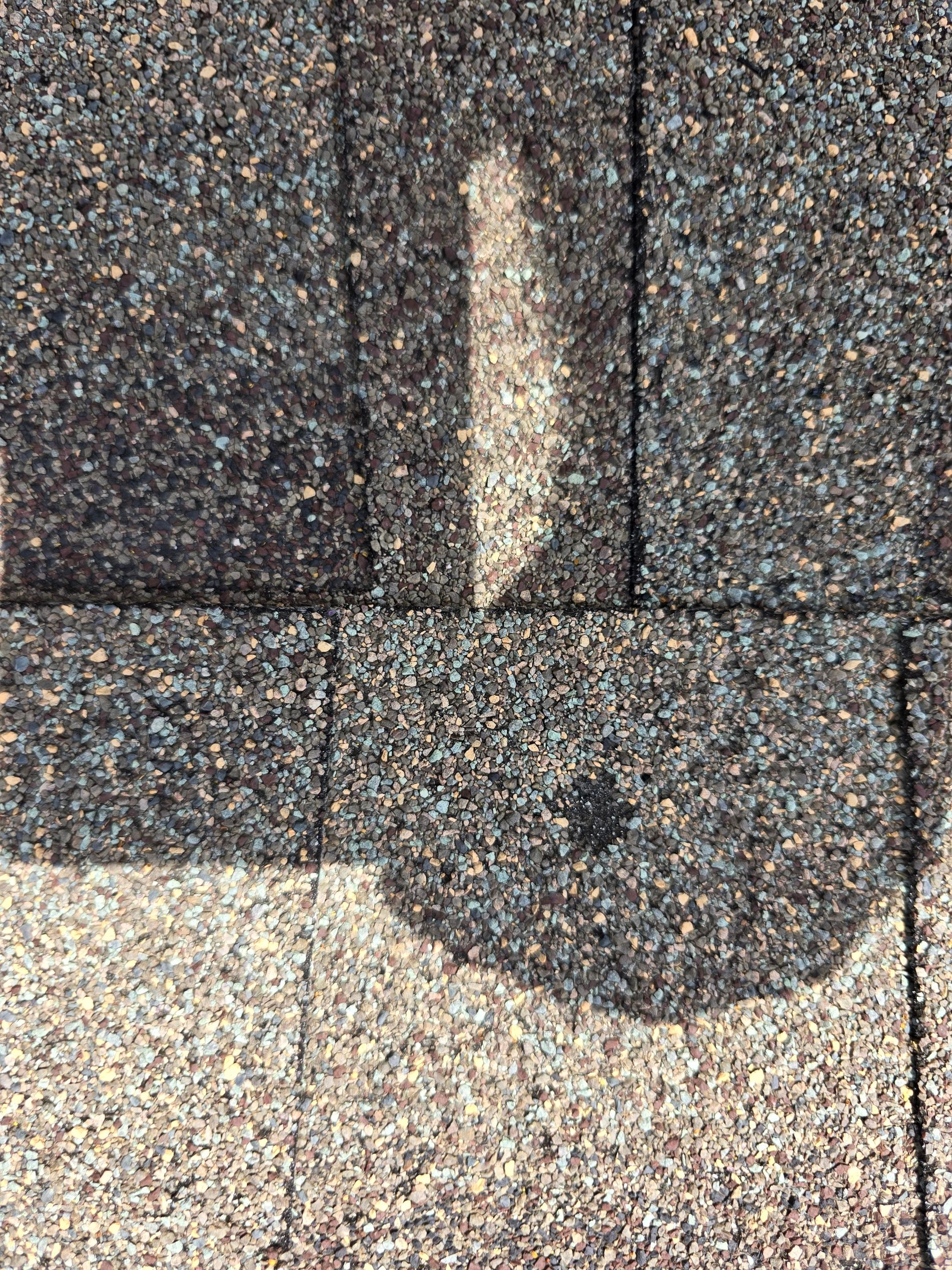 Project in Garland by EL-GC LLC 