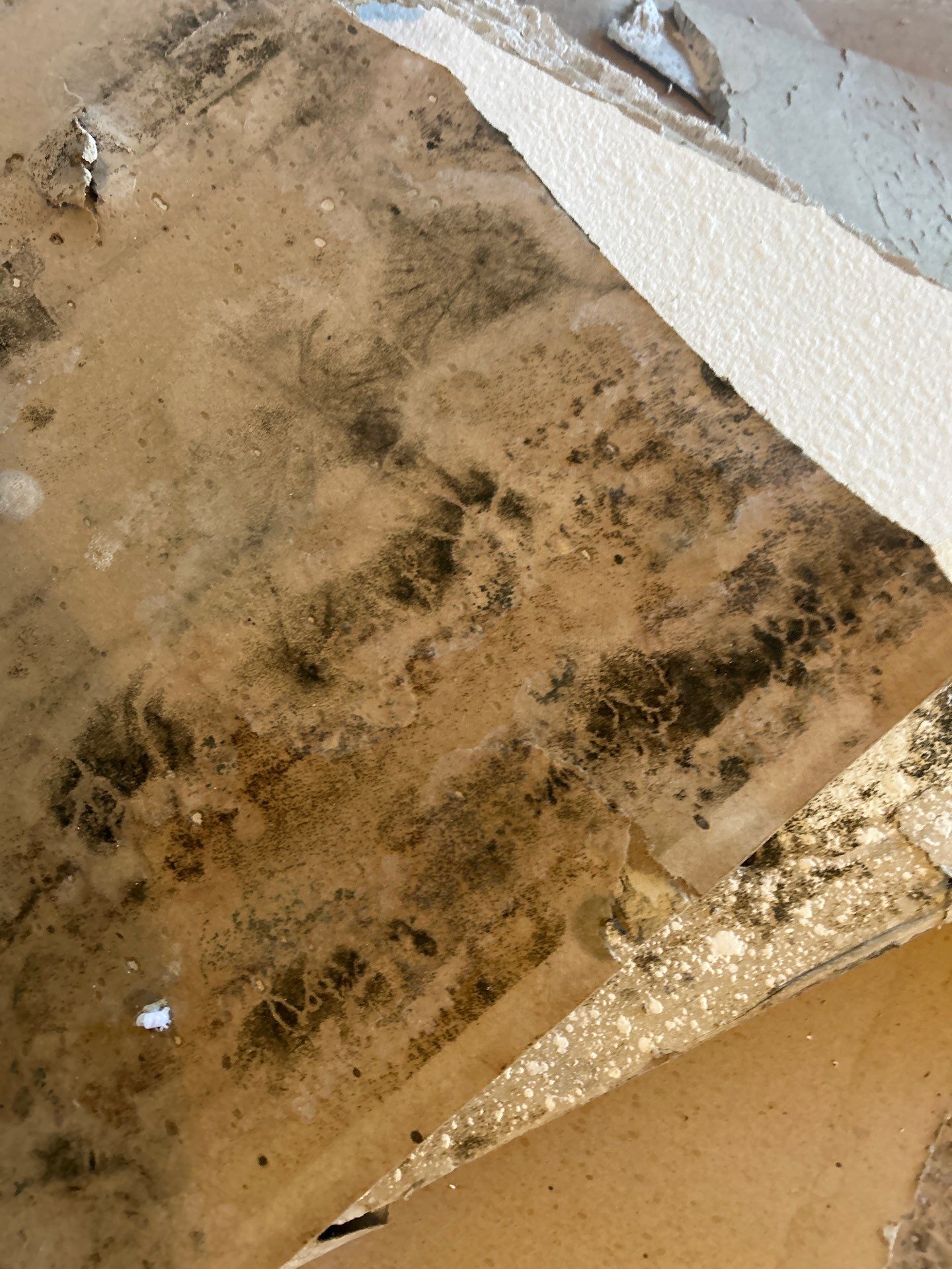 Commercial Storm Damage Repair by Ampm Restoration Services
