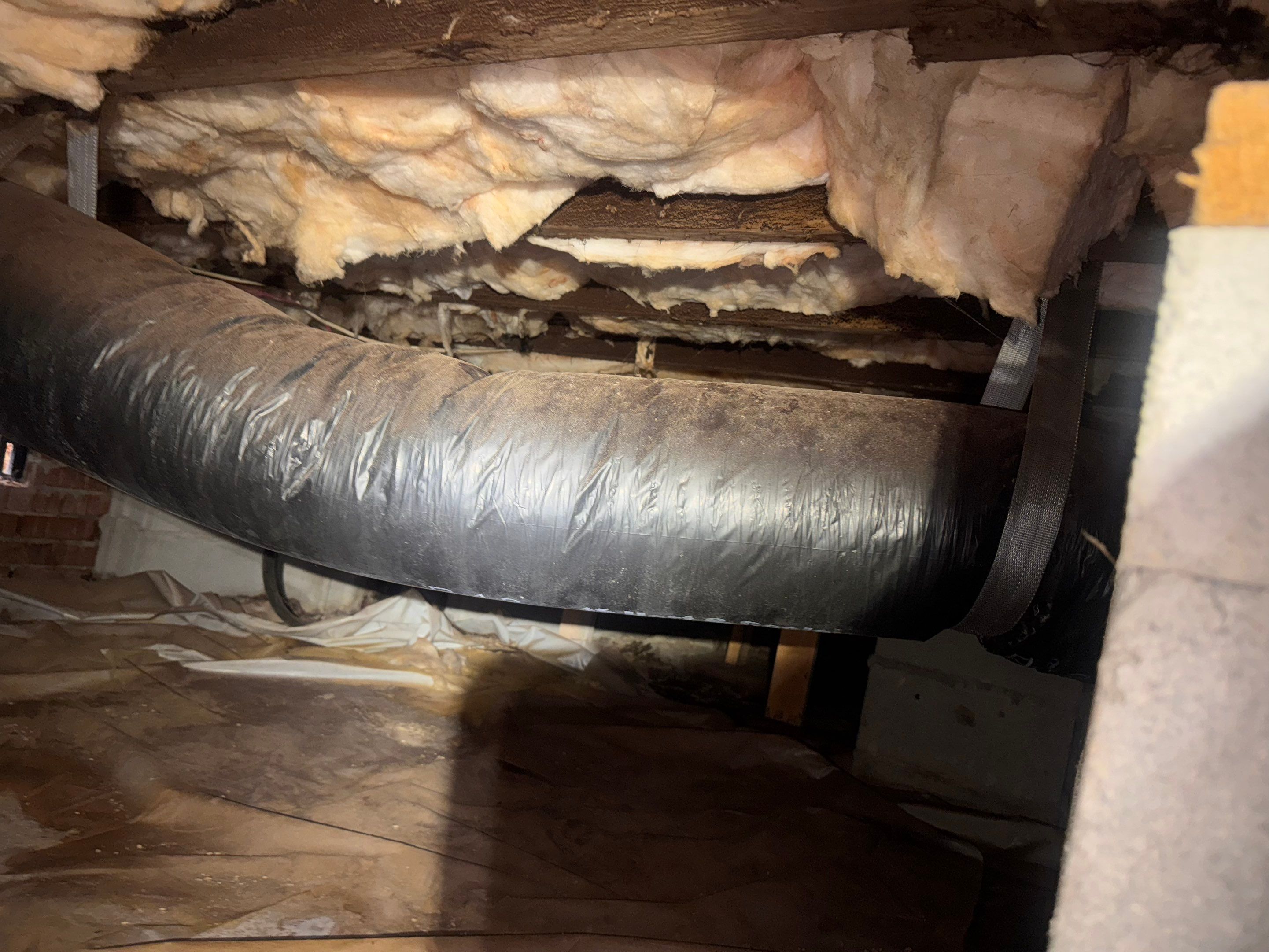Moisture Barrier, Mold Clean, Structural Repair, Dehumidifier, R19 Insulation. by Impact Crawlspace
