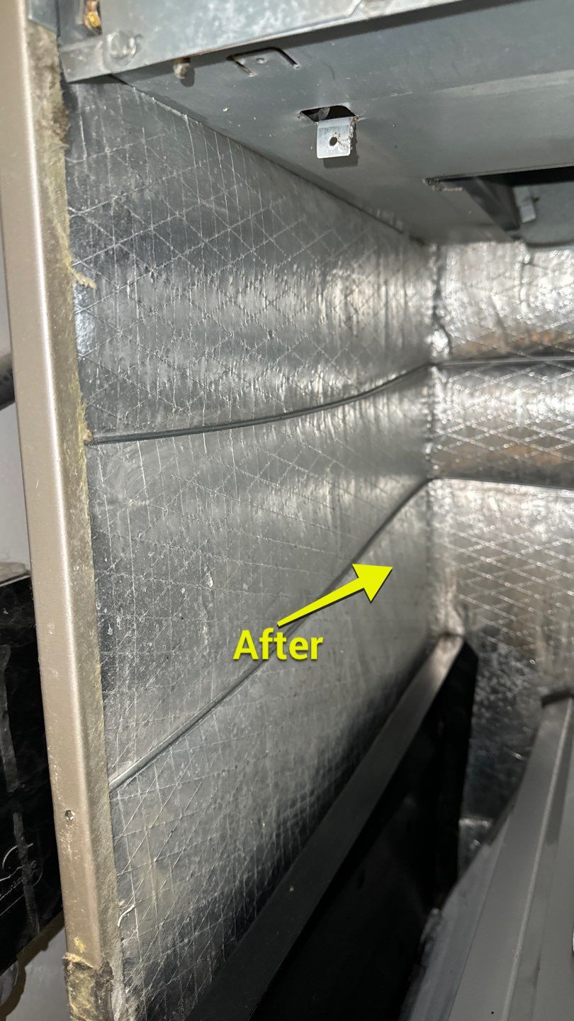Air Duct Cleaning in Tavares by Hygienic Air, Inc