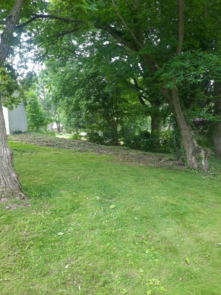 Tree Removal using Tree Removal by Mike Jones & Sons Tree Service LLC 