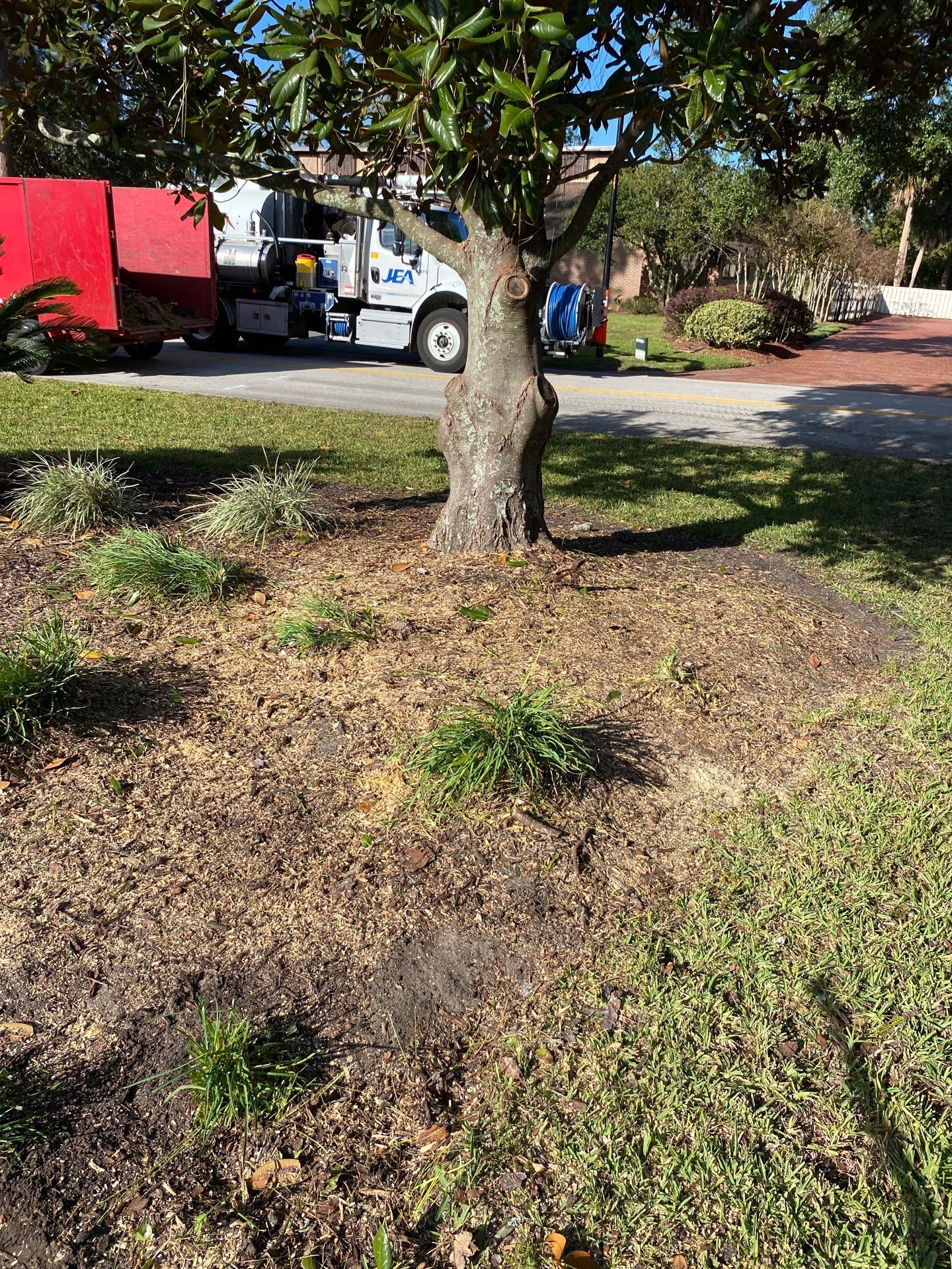 Deerwood Resident | Tree Removal by ProGreen Services