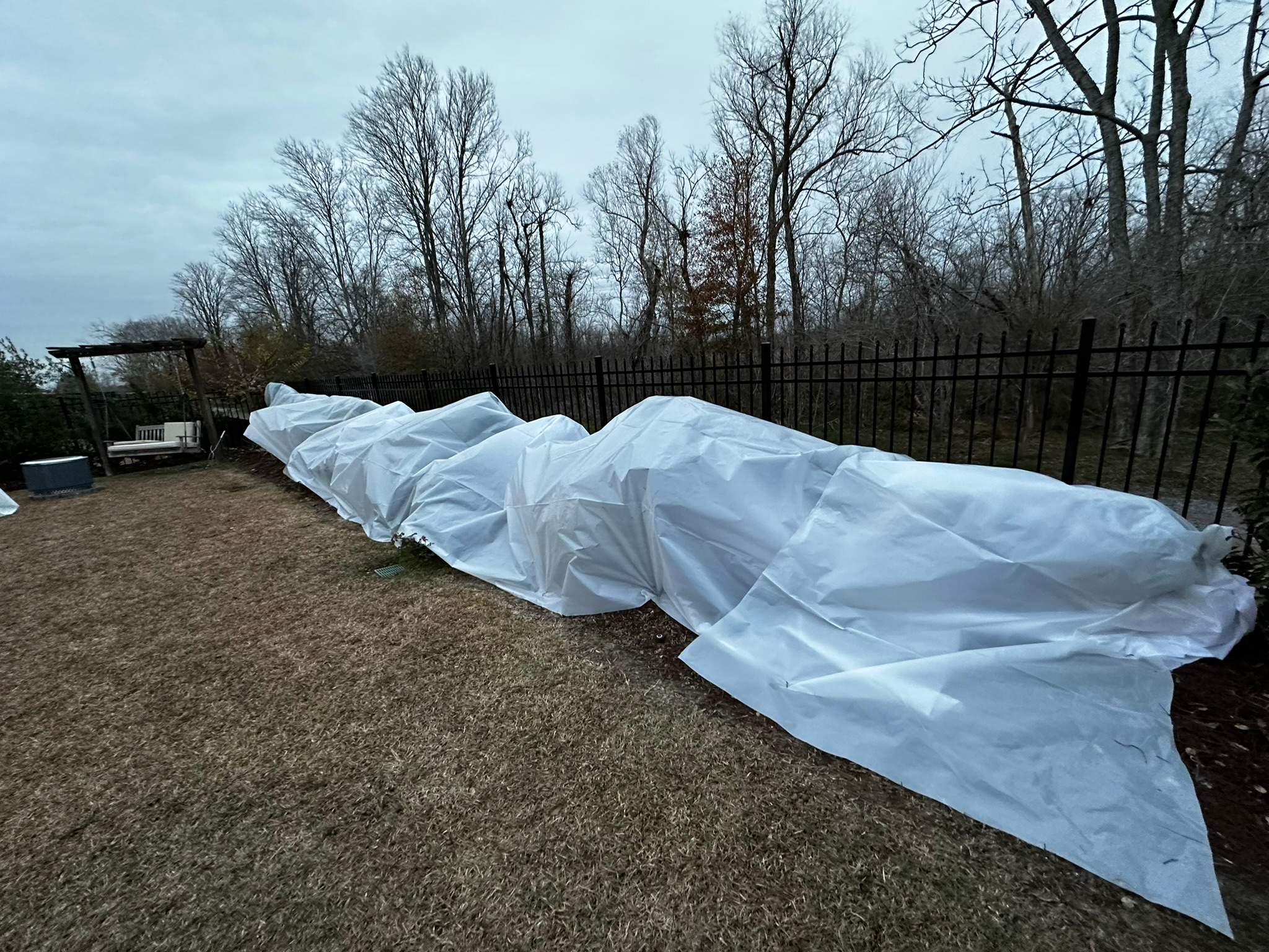 WINTER SERVICES :  using FROST BLANKET by CutScape, LLC.