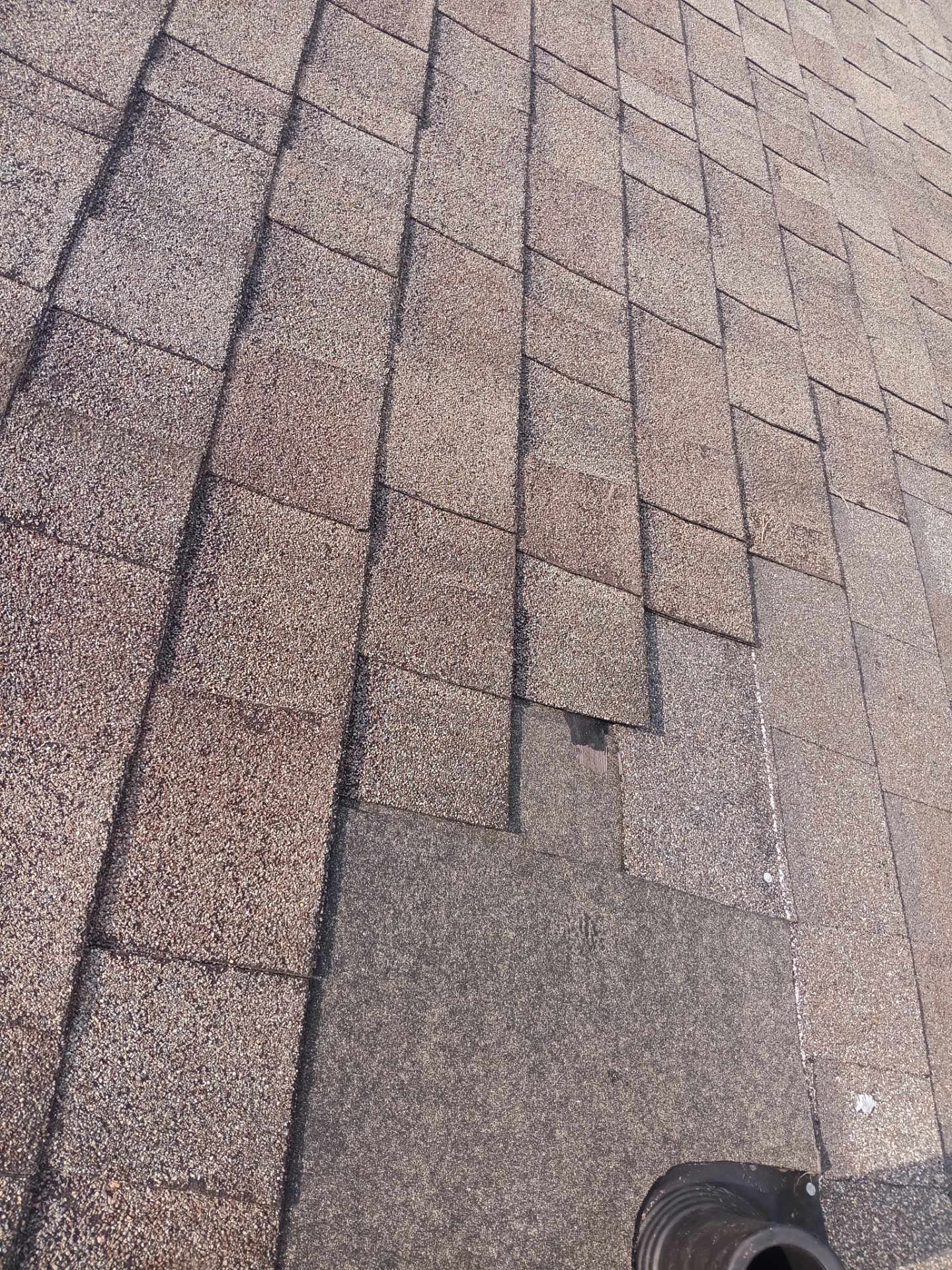 Roof Repair Spring by Roof Repair Company