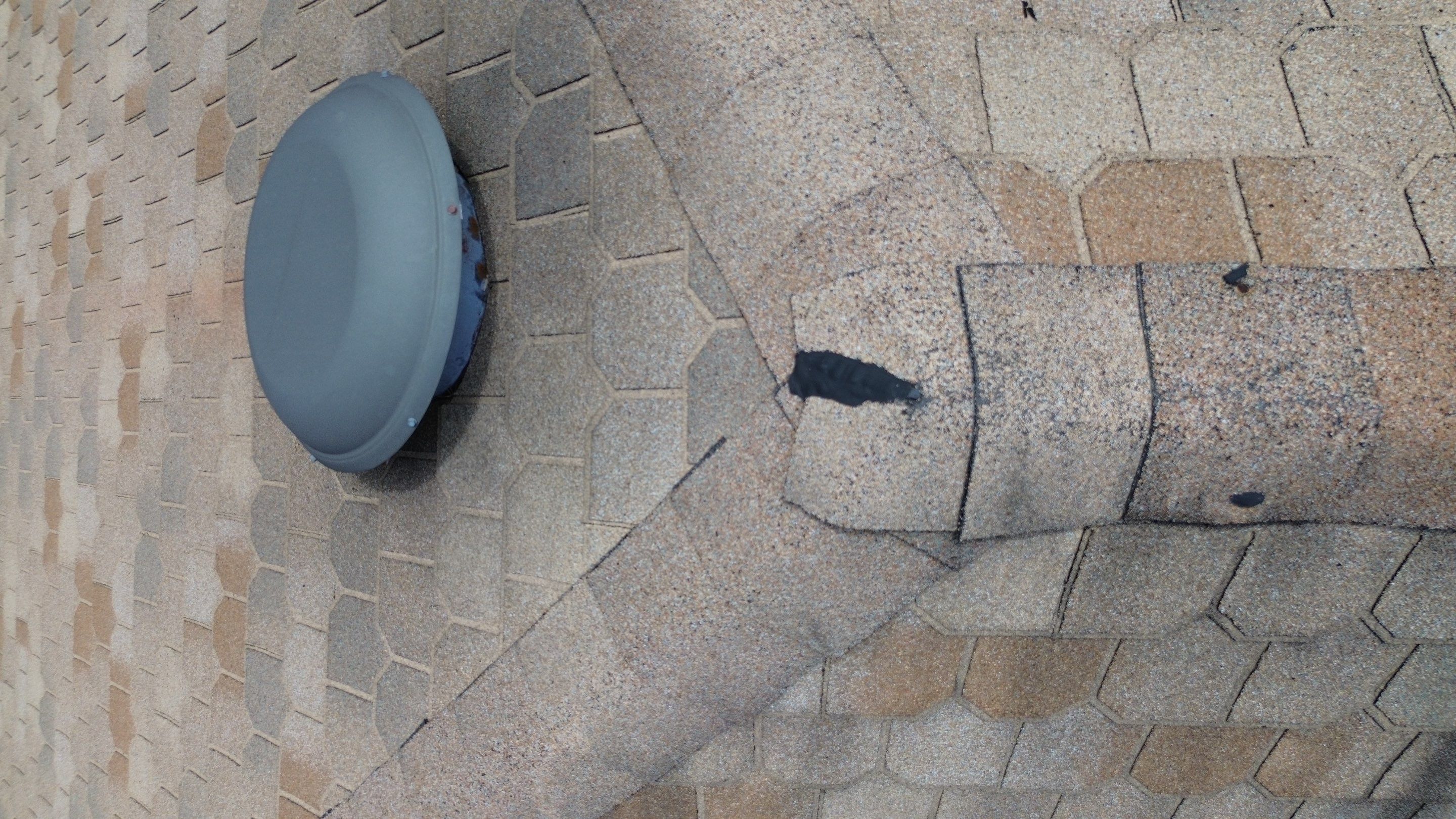 Catherine Cutter by United Contracting and Roofing