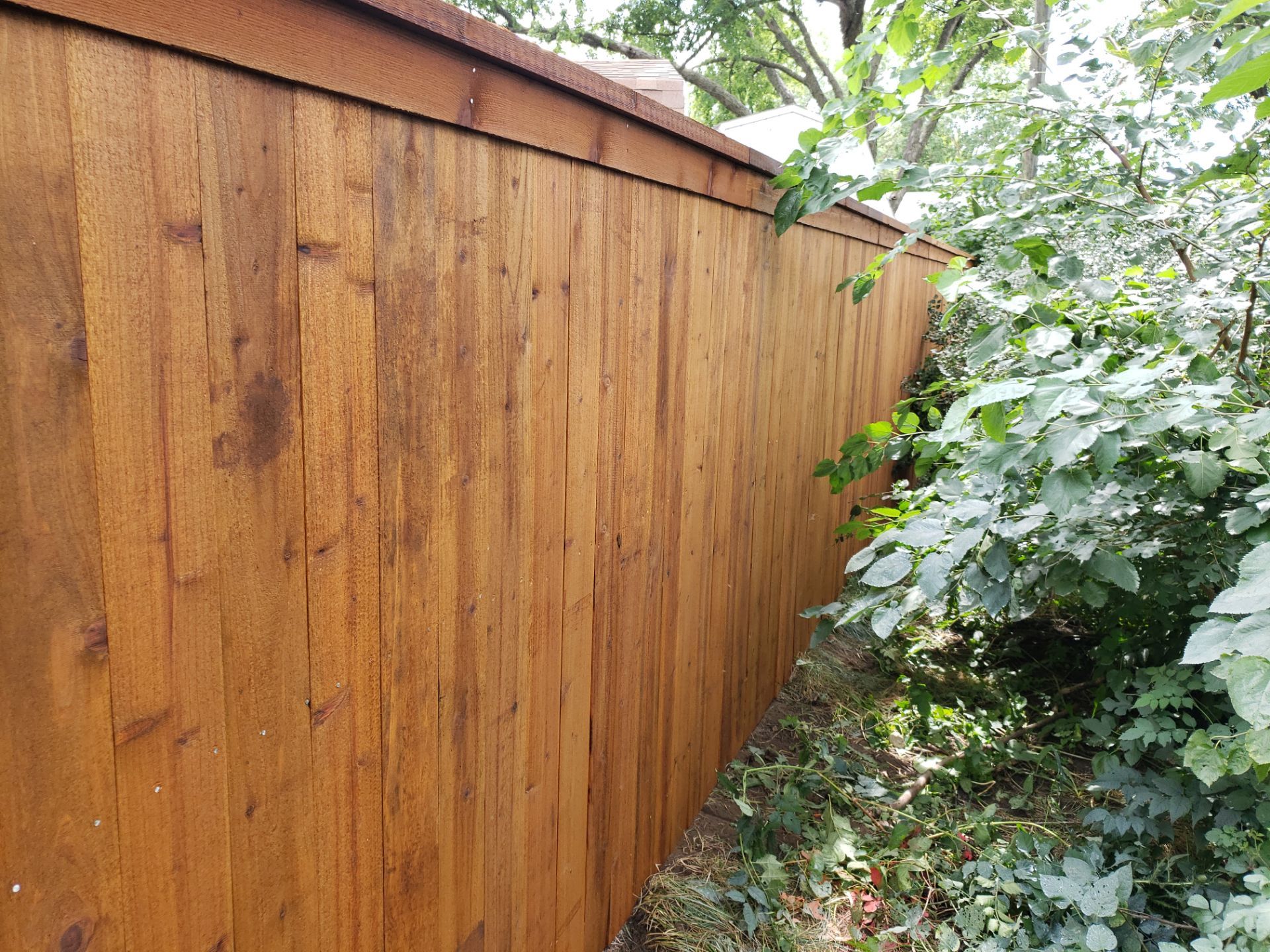 Custom Cedar Privacy Fence with Decorative Gate Windows in Cedar Falls by Perfect Picket Fence and Stain