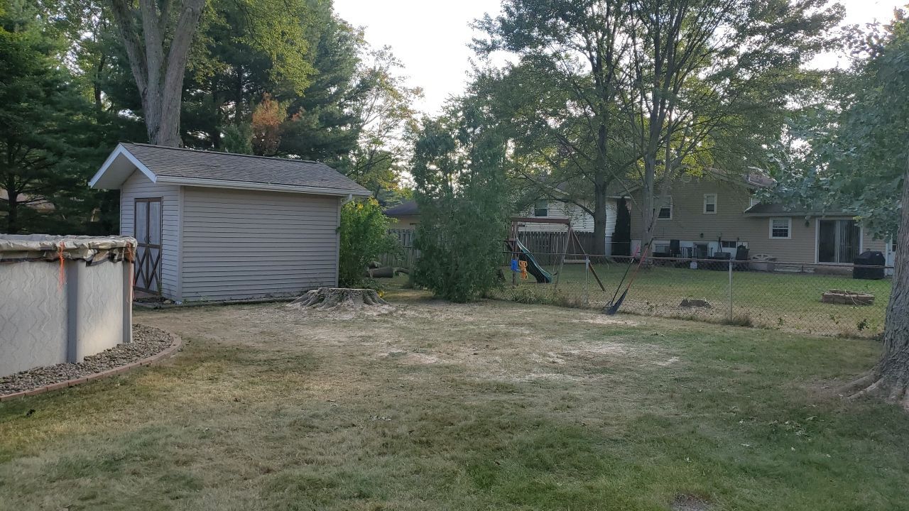 Oak Tree Removal by Mike Jones & Sons Tree Service LLC 
