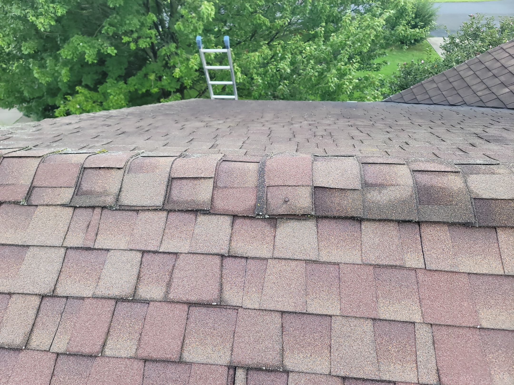 Atlas Pinnacle, Color: Weathered Wood, Drip Edge, Color: Royal Brown by Eagle Eye Roofing