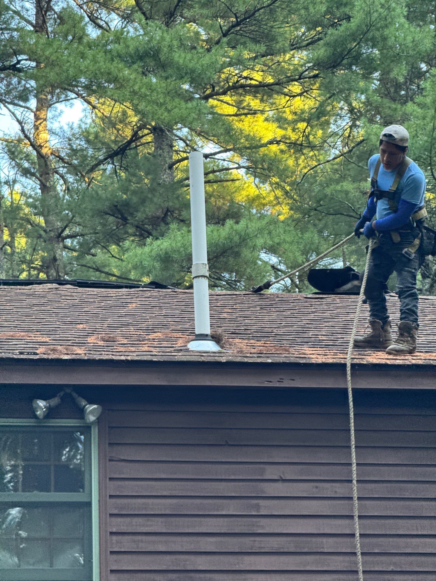 Roof Replacement – Rosalie Brown, MA by Mighty Dog Roofing of Greater Middlesex County