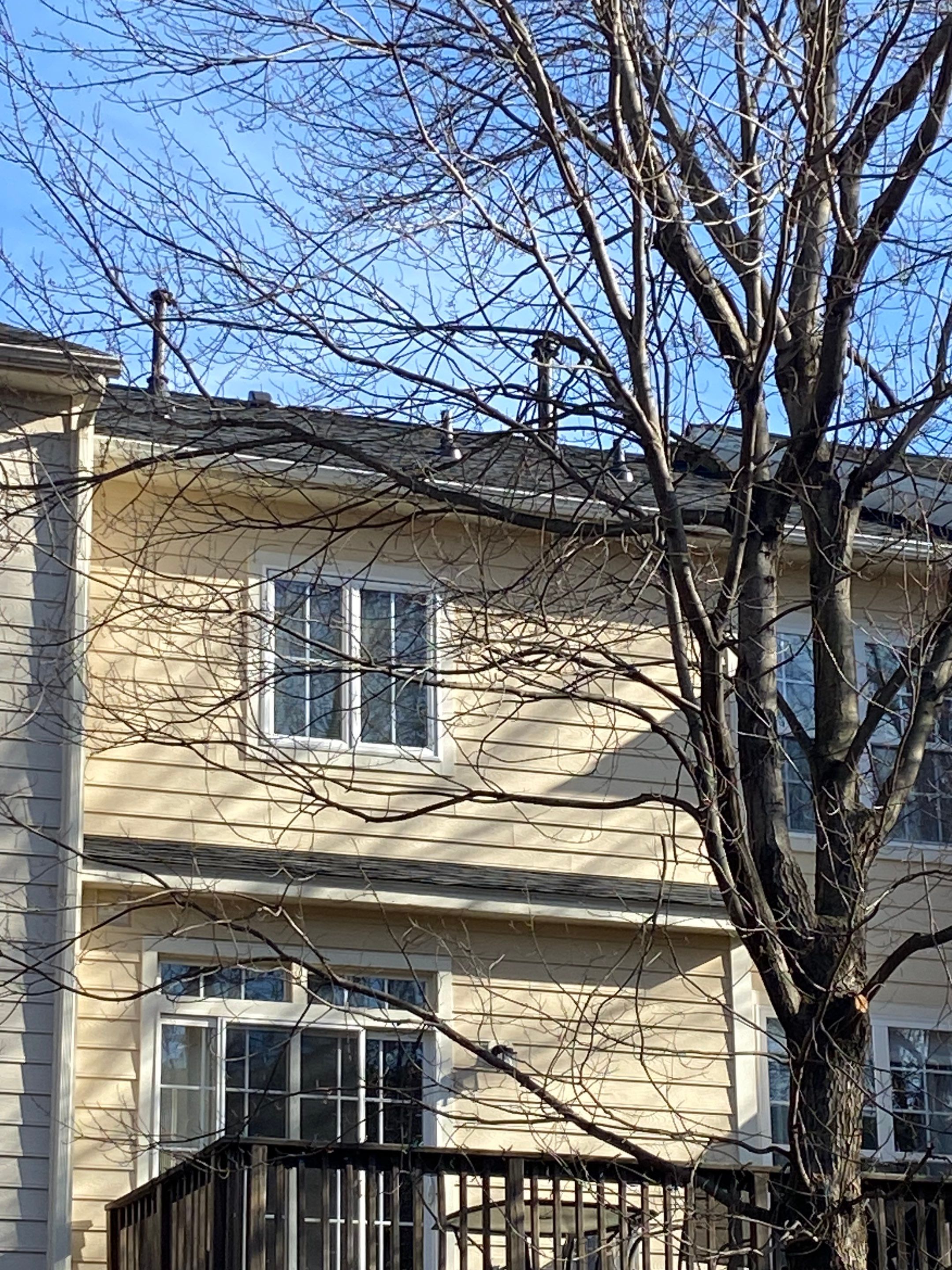 Fairfax: Residential Roof Replacement with CertainTeed Landmark in Charcoal Black by RM Banning, Inc.