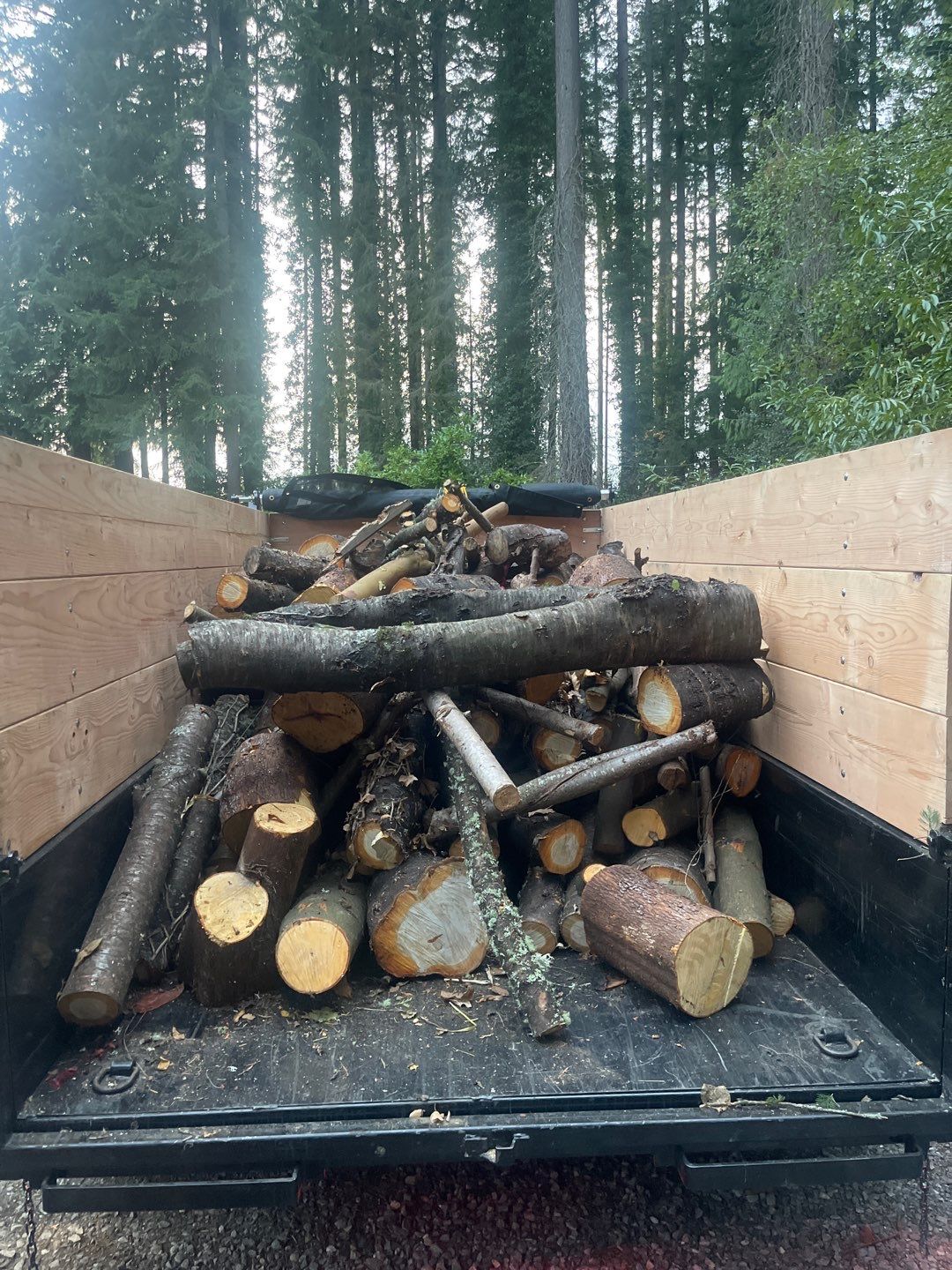 Tree Removal using Tree Removal by Mike Jones & Sons Tree Service LLC 