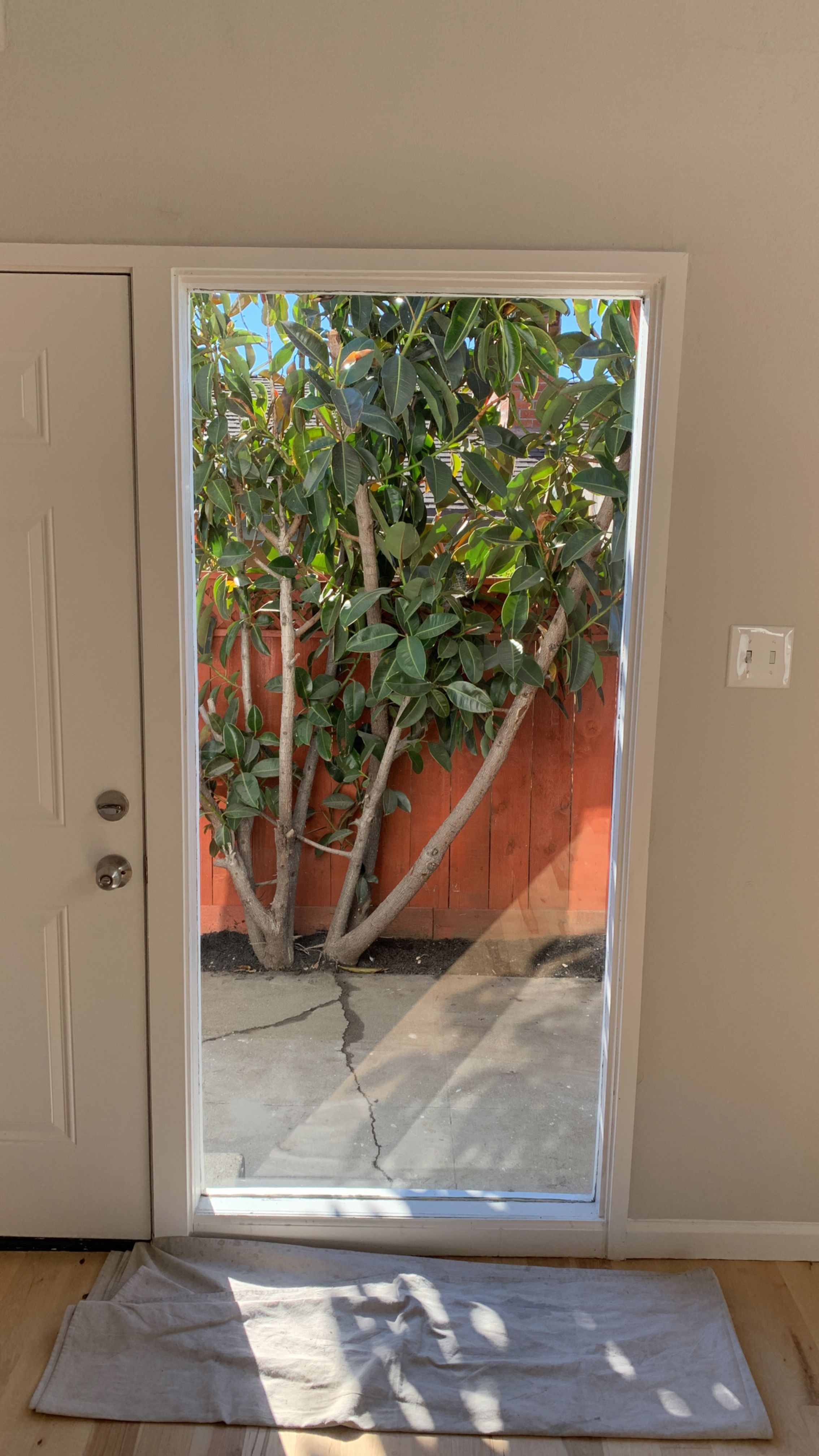 Tess Blengino Listing 2831 Gonzaga by SpotFree Window Cleaning