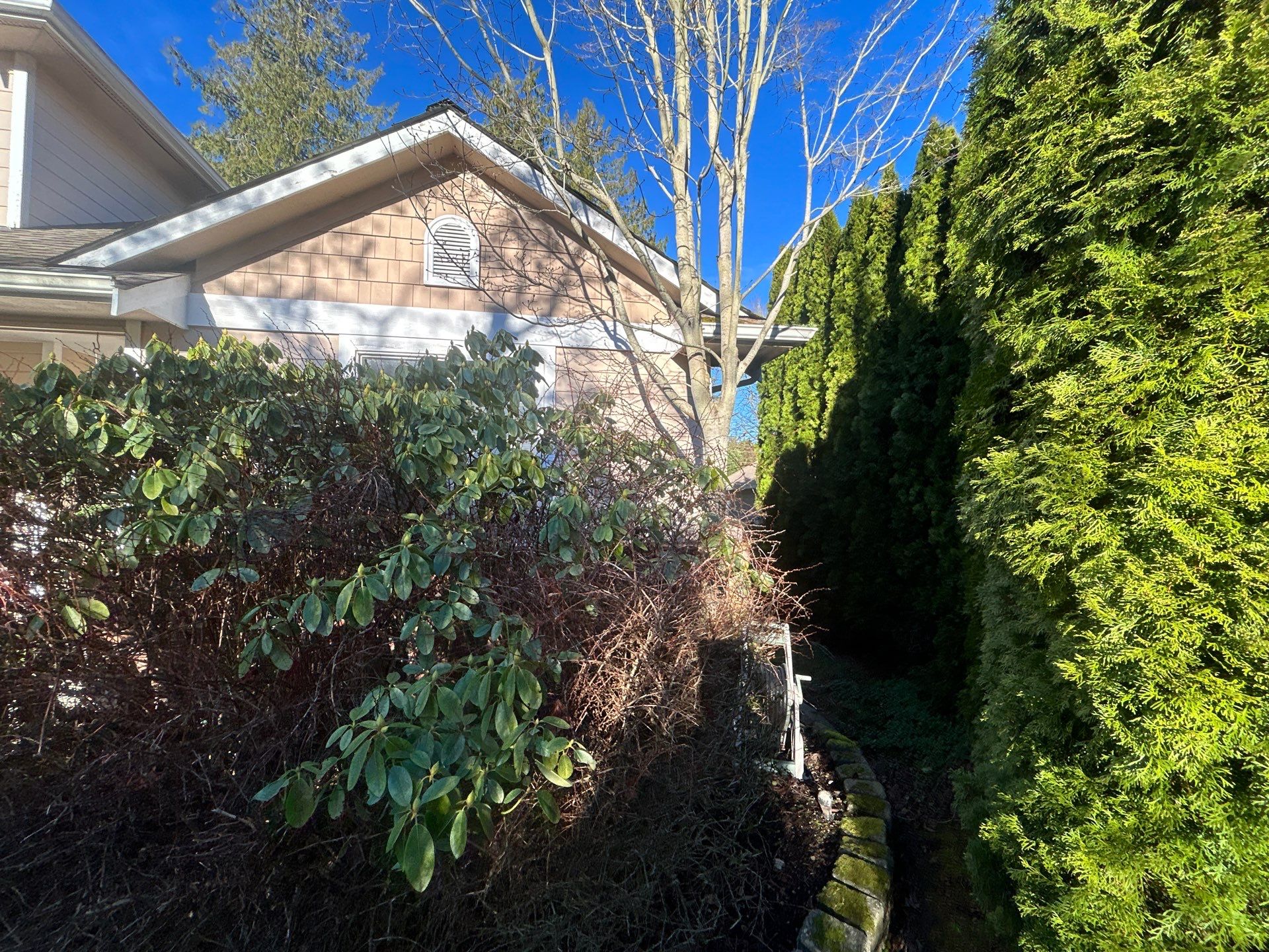Project in Mount Vernon by Peaks and Valleys Construction