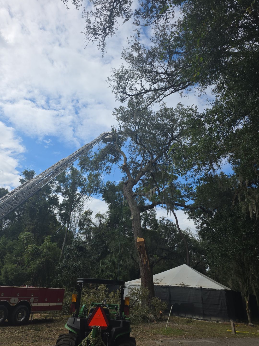 Episcopal | Large Tree Removal by ProGreen Services