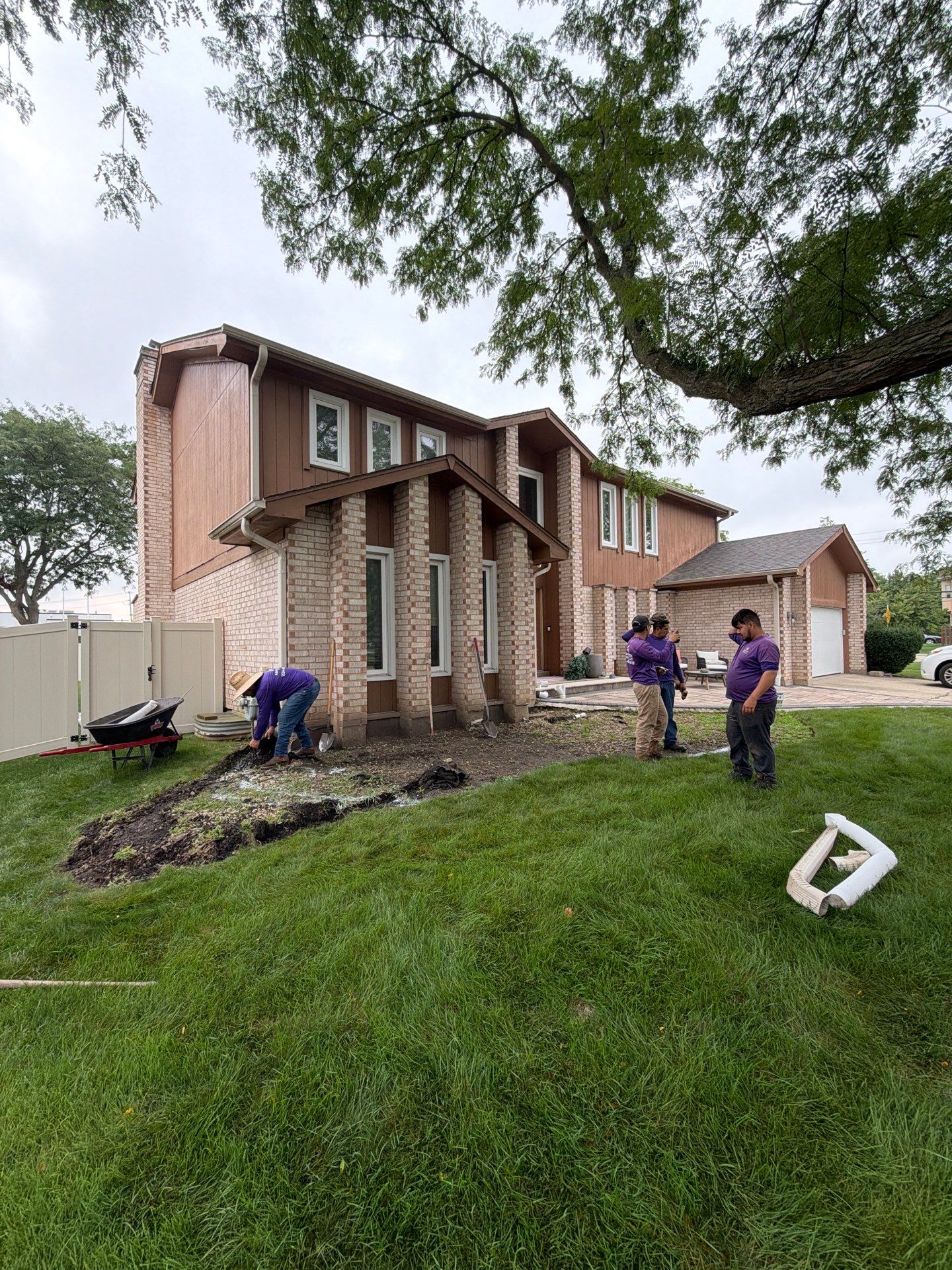 Marie R. - Glenview, IL by A&N 