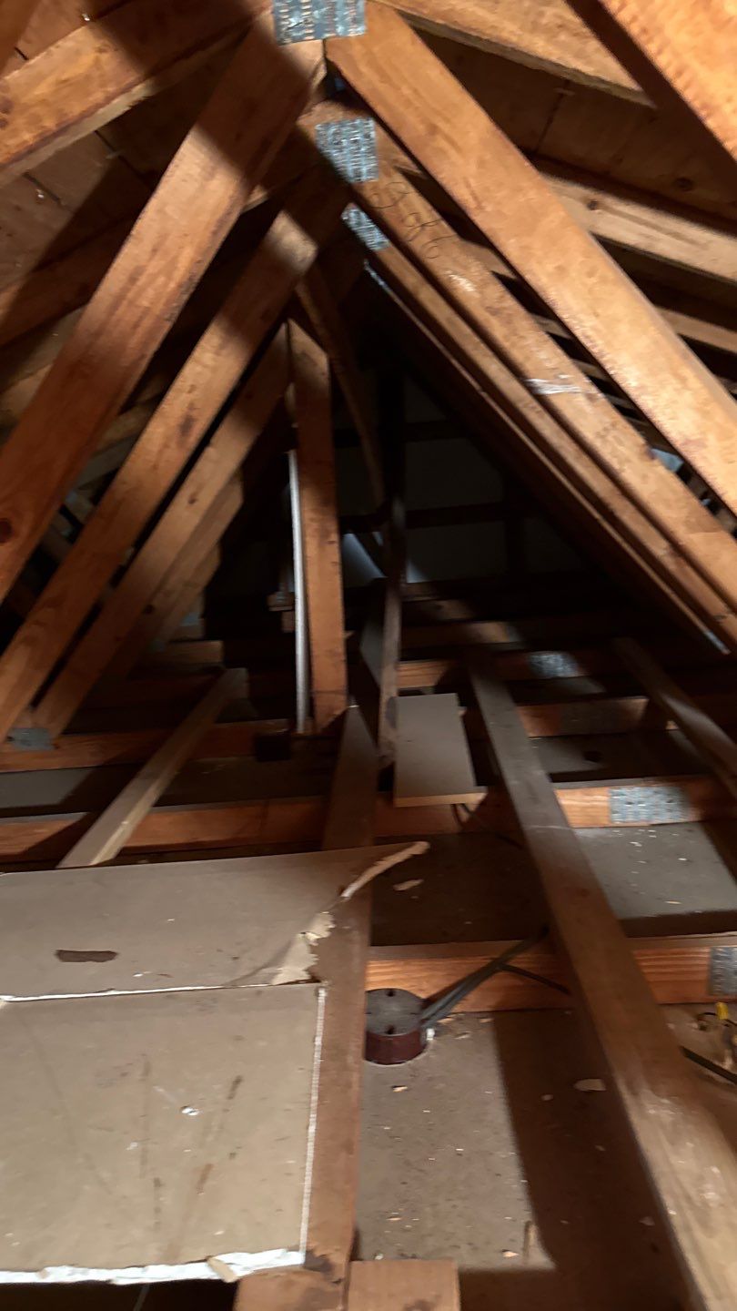 Architectural Shingle Roof Replacement and Attic Inspection in Orange City by Pinnacle Roofing Group