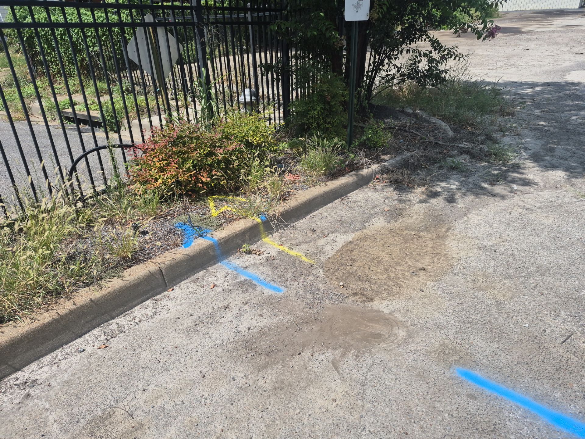Utility Locate and Utility Mapping for Survey by Alsip Locating Service, LLC