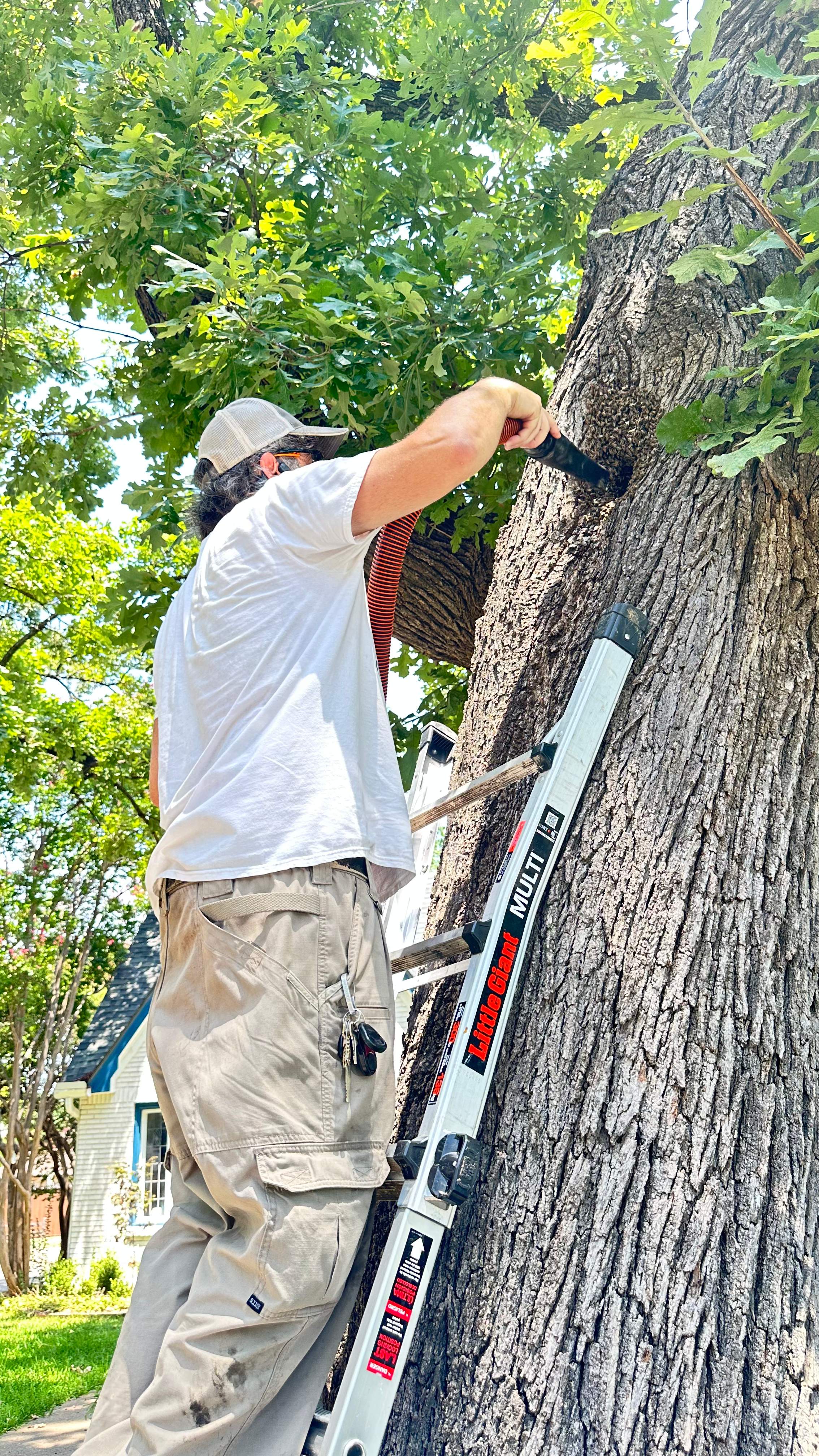 Tight Squeeze by Rockwall Honey Bee Company