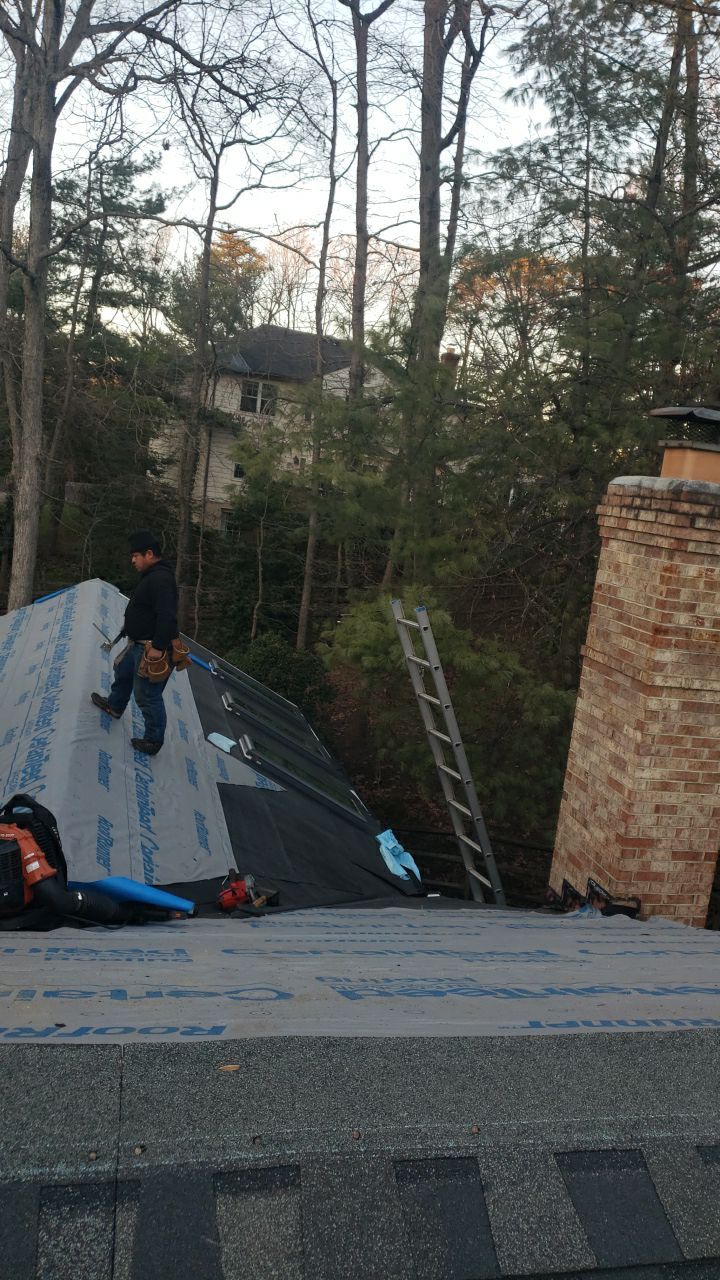 Vienna: Certainteed Landmark Pro Designer Shingles in Max Def Driftwood by RM Banning, Inc.