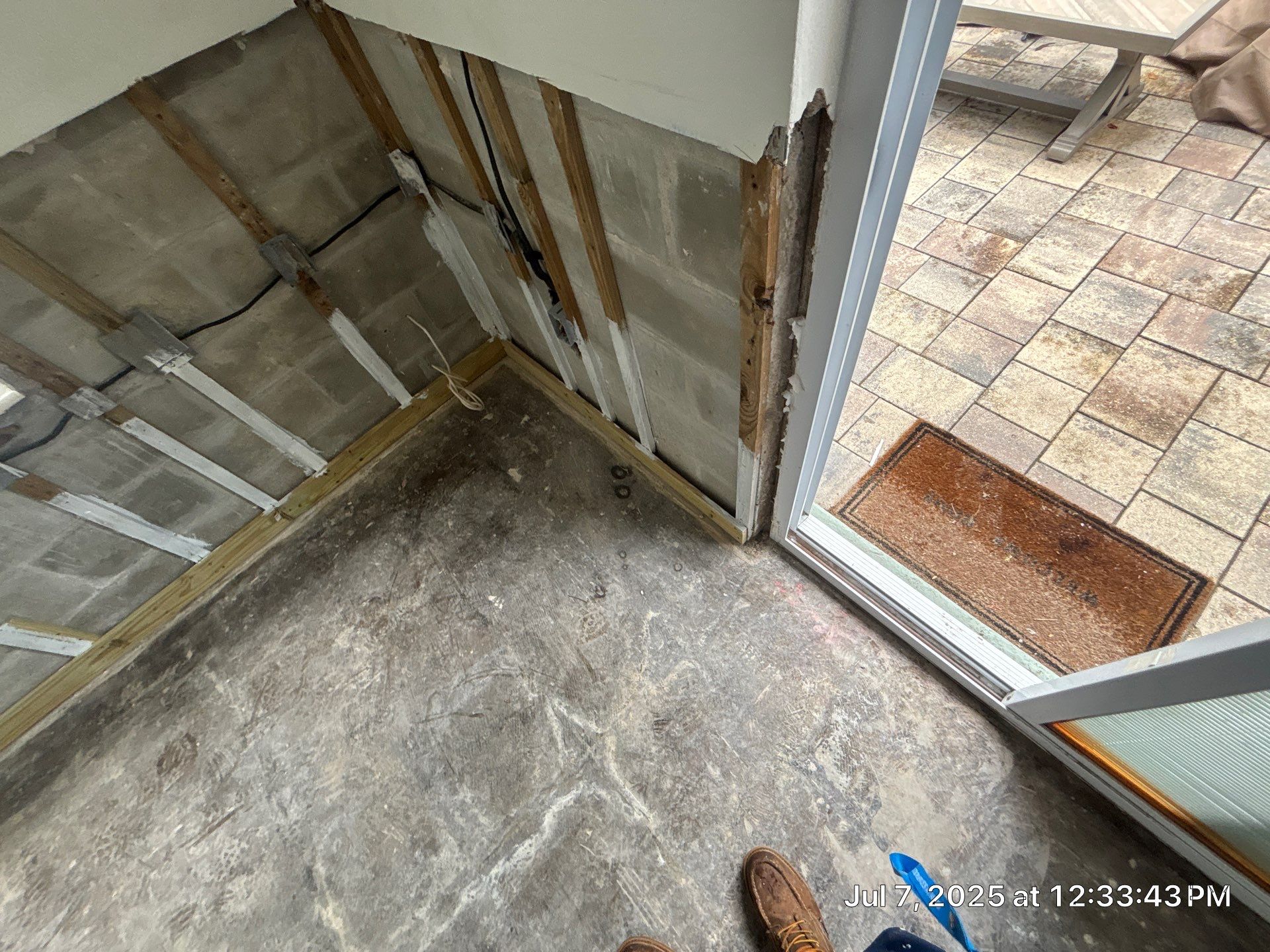 Mold Damage Restoration In Dunedin, Florida by Ampm Restoration Services