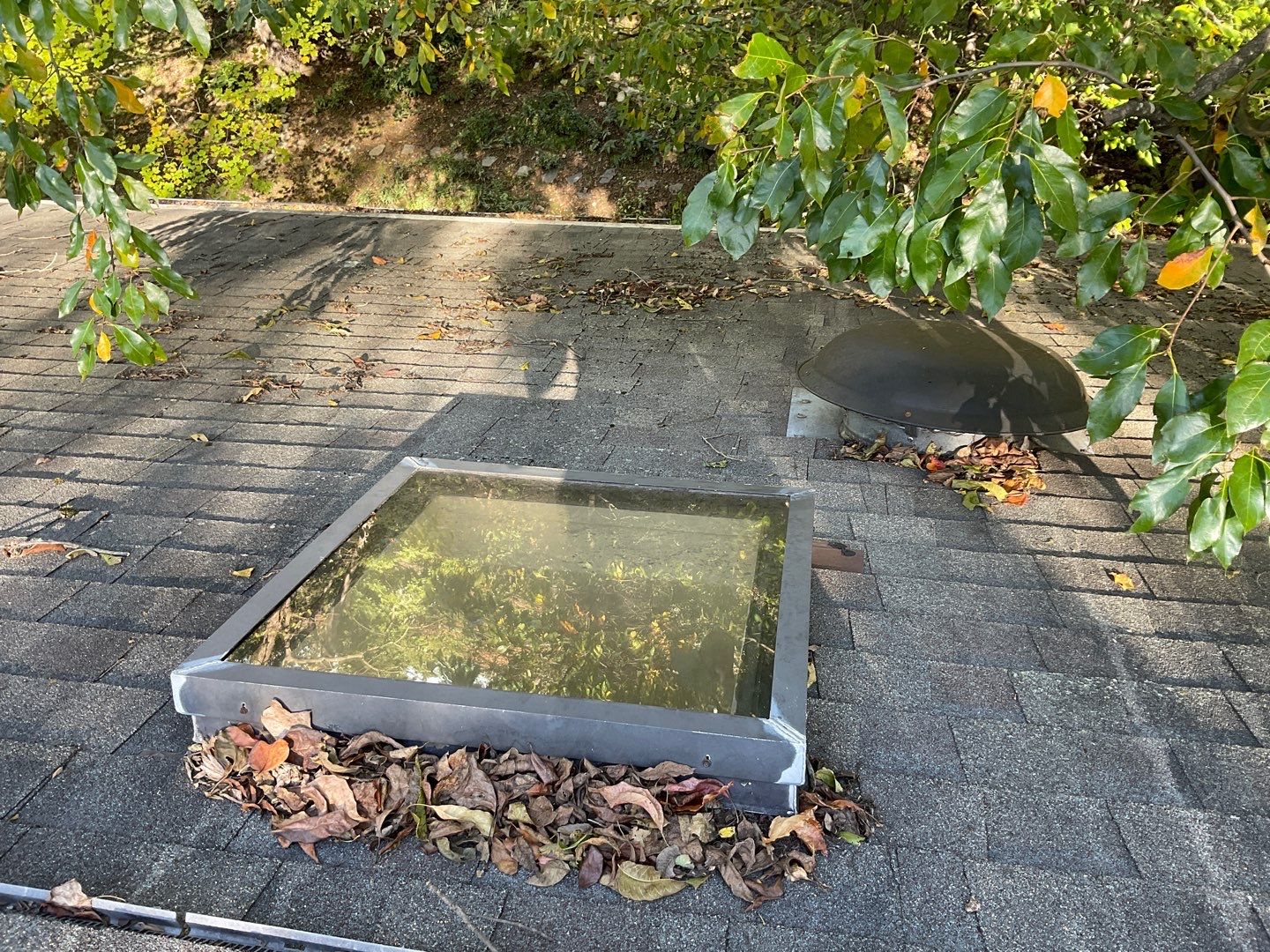 Install new shingles and new skylights  by Alpha Design Services