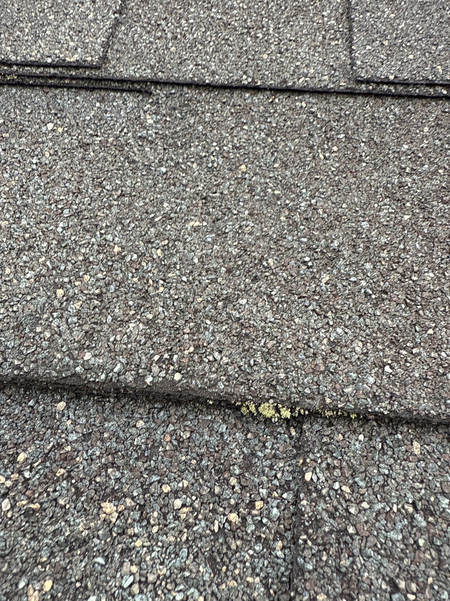 Project in Moseley by Roof Maxx of Midlothian