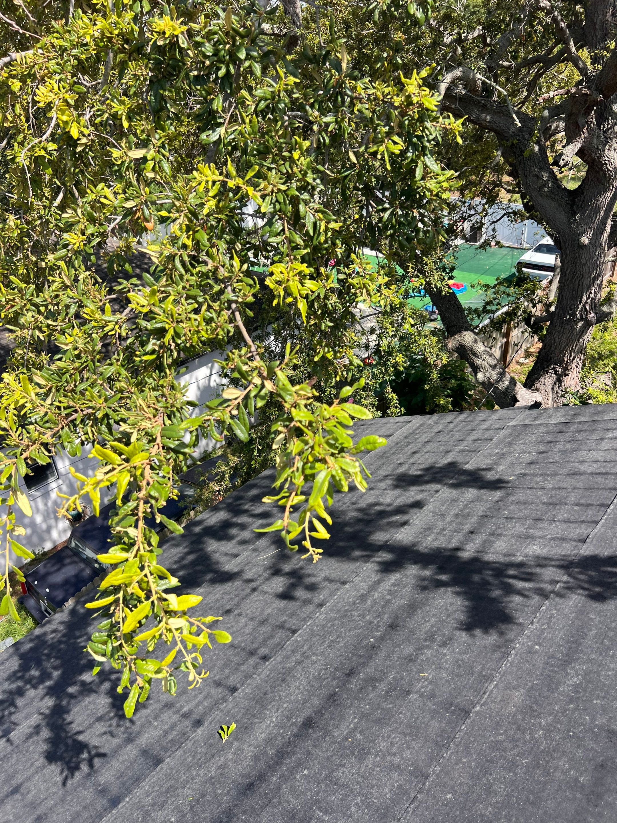 Project in St. Petersburg 33712 by Mitchell Roofing Company LLC