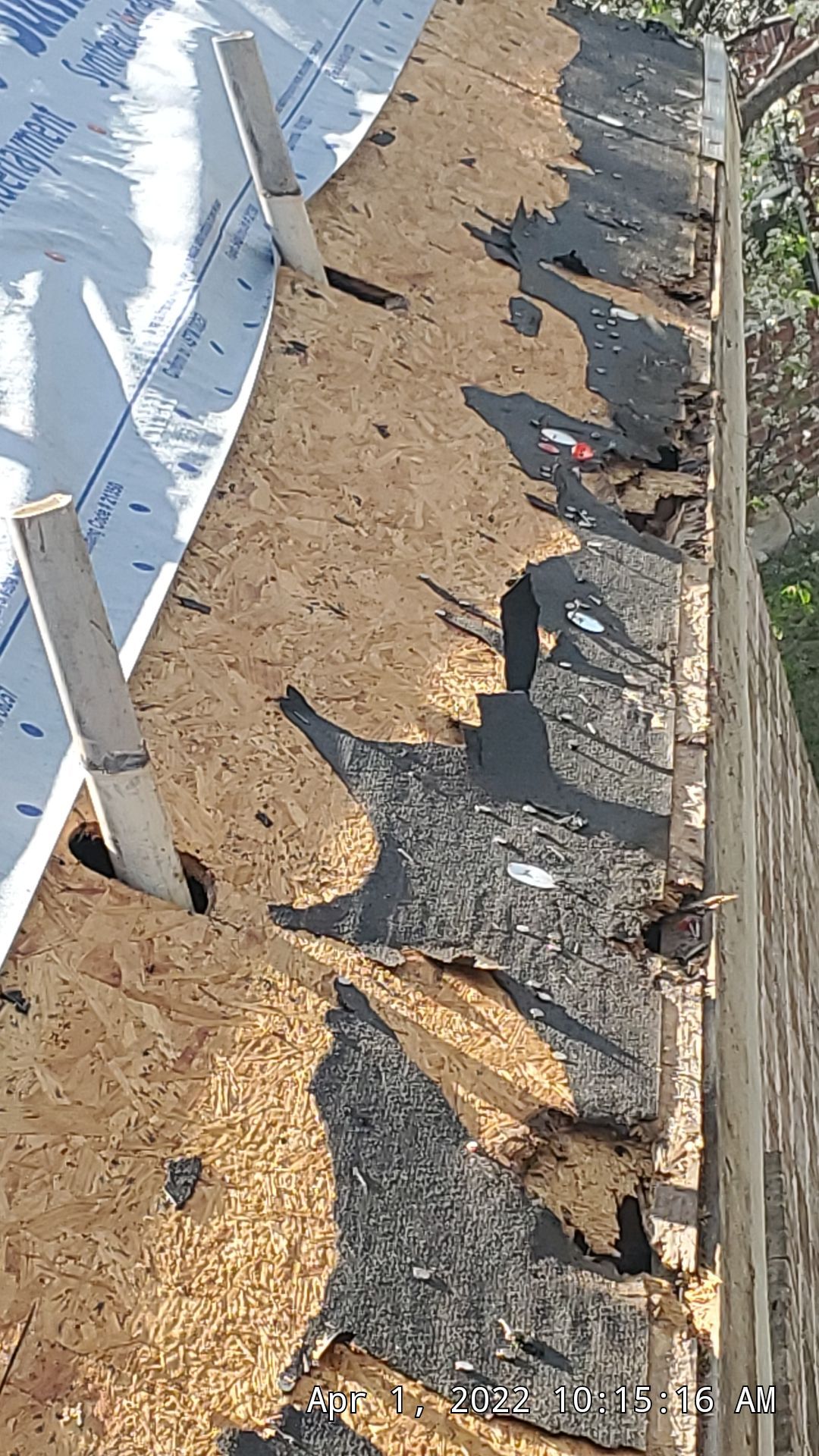 Residential Roofing Installation using ATLAS Pinnacle Pristine Shingles by Harvey Roofing & Construction