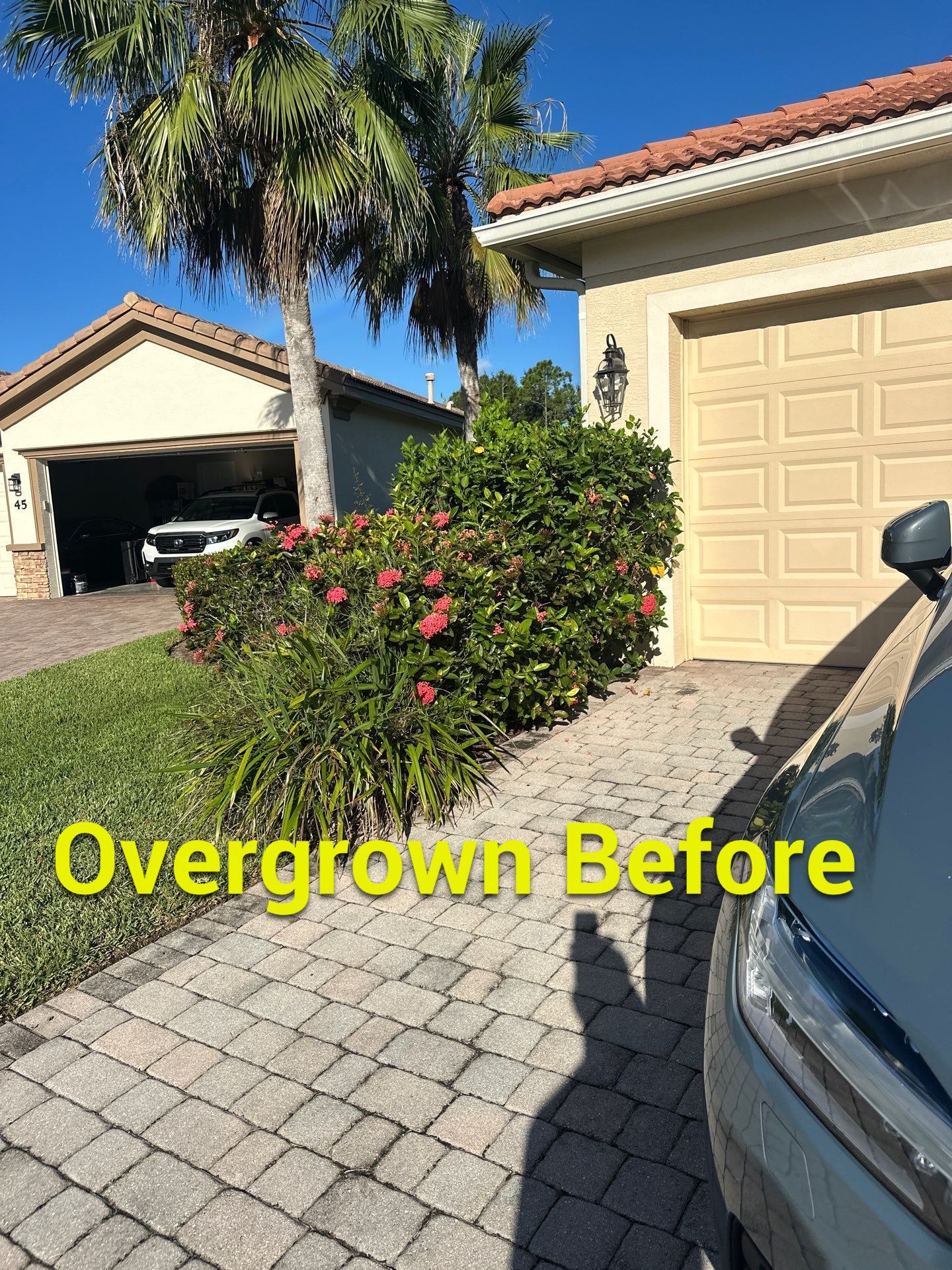 From Overgrown to Picture-Perfect - Stuart Refresh by Alpha Zeta Enterprises Inc
