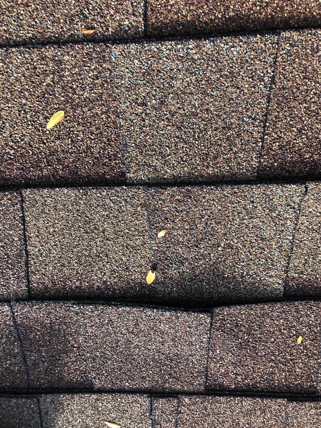 Roof Replacement using Owens Corning by 180 Contractors